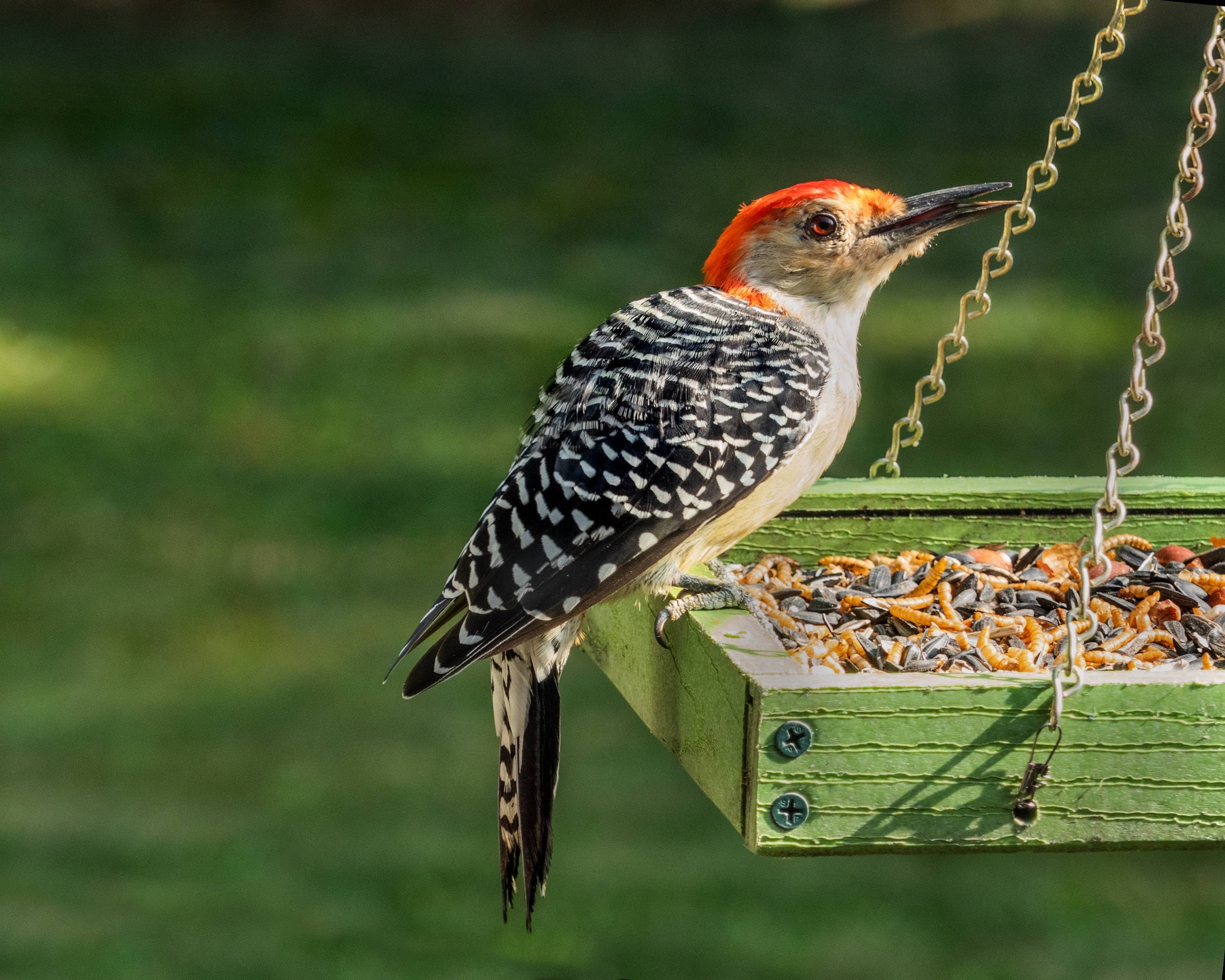 Featured Image