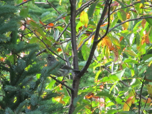 Additional Image 2