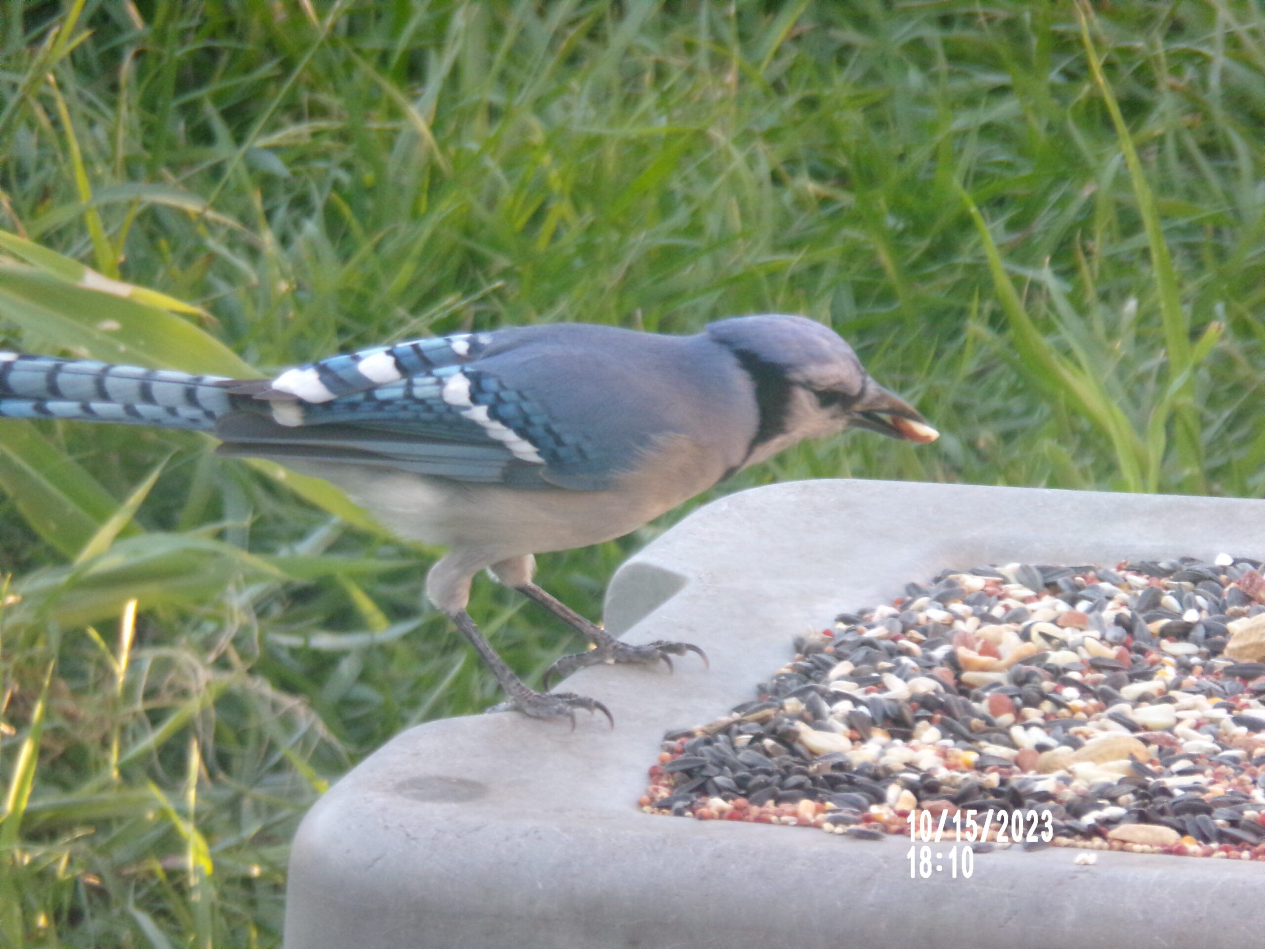 Additional Image 5