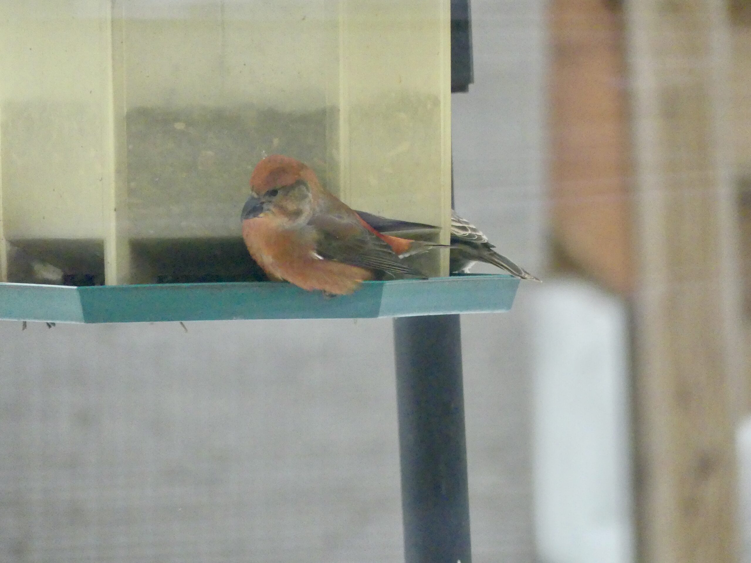 Additional Image 3