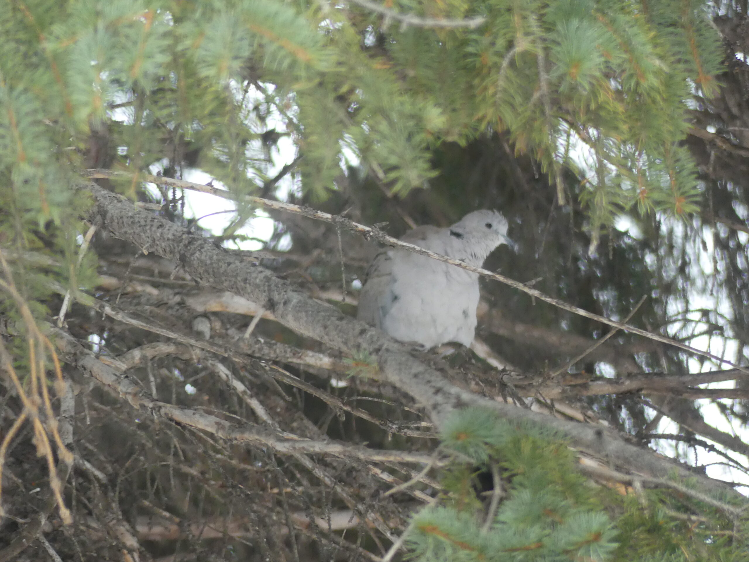 Additional Image 4