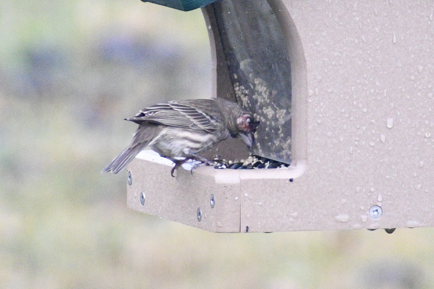 Additional Image 3