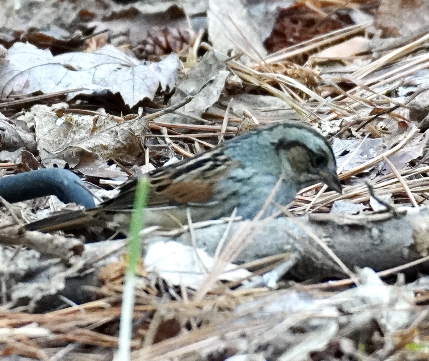 Additional Image 2