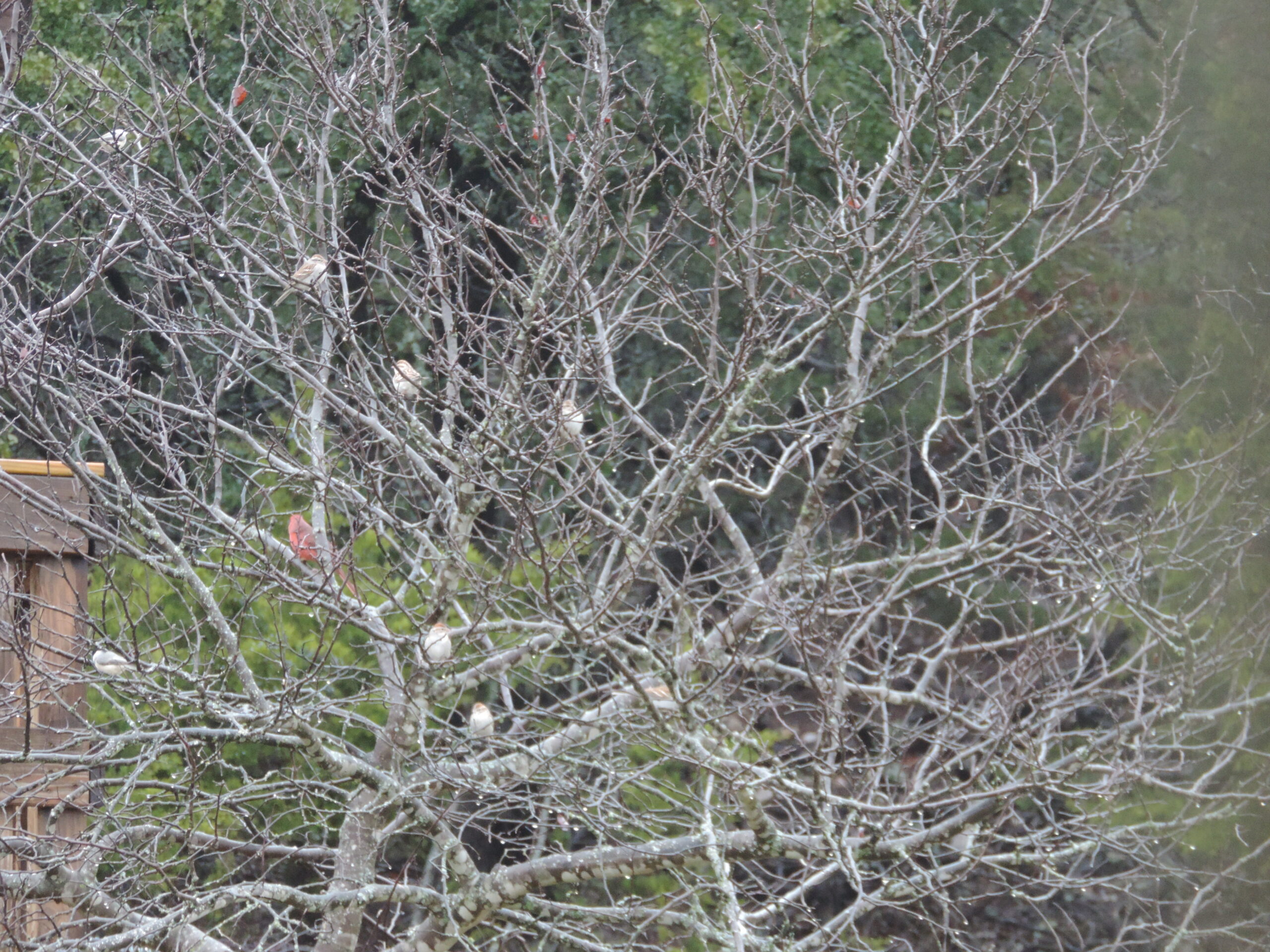 Additional Image 5