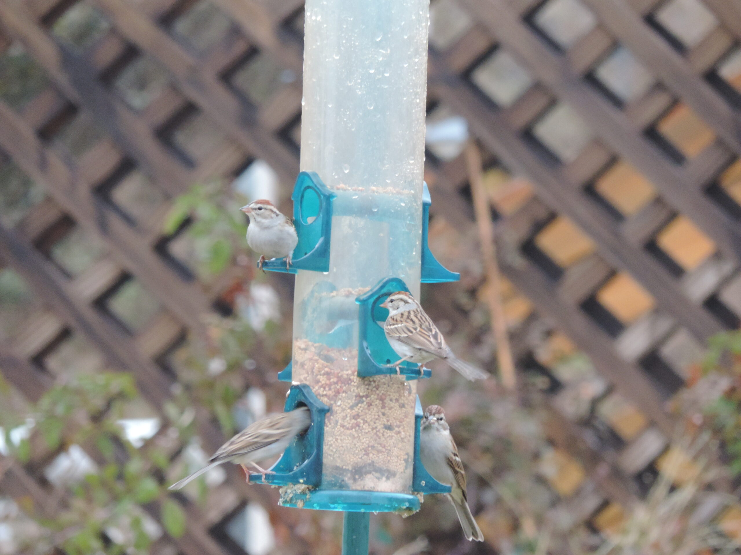 Additional Image 5