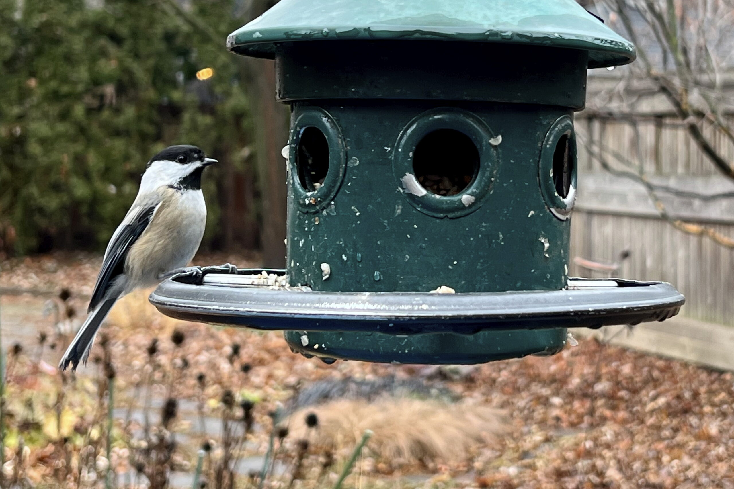 Featured Image