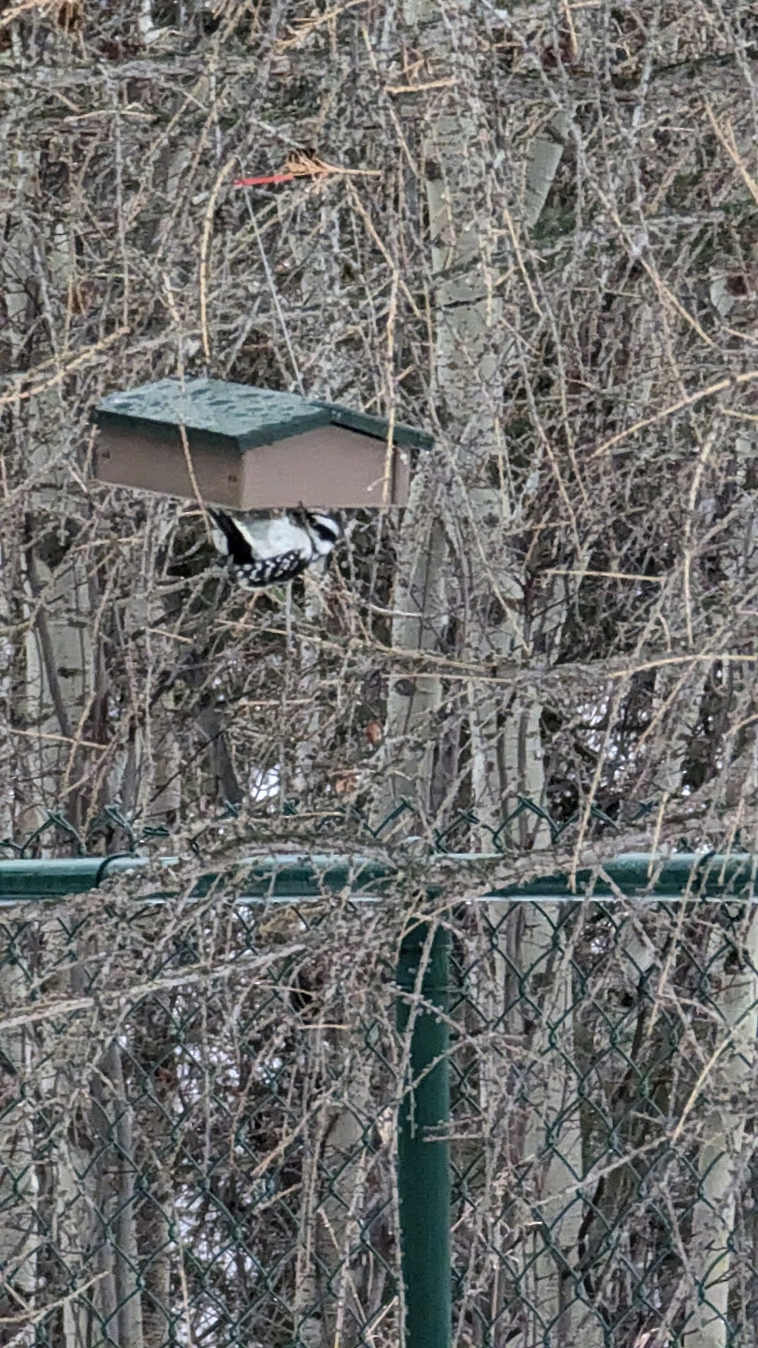 Additional Image 2