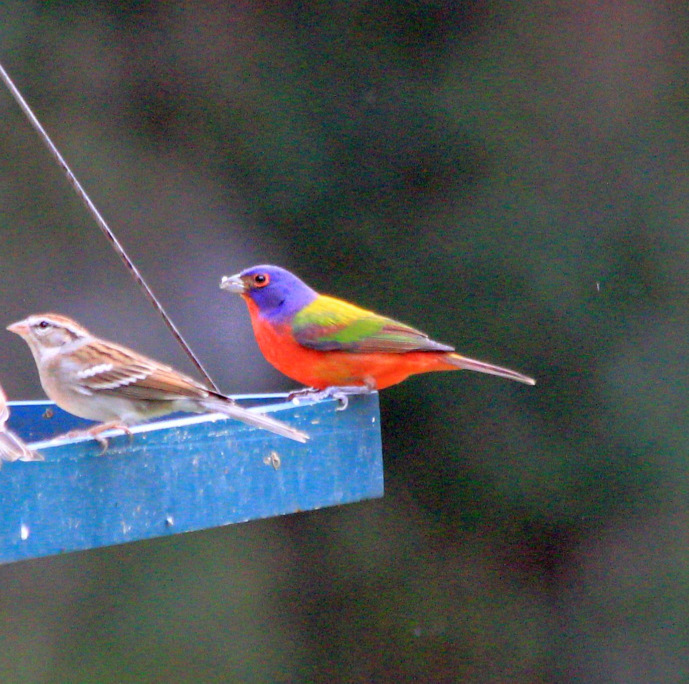 Featured Image