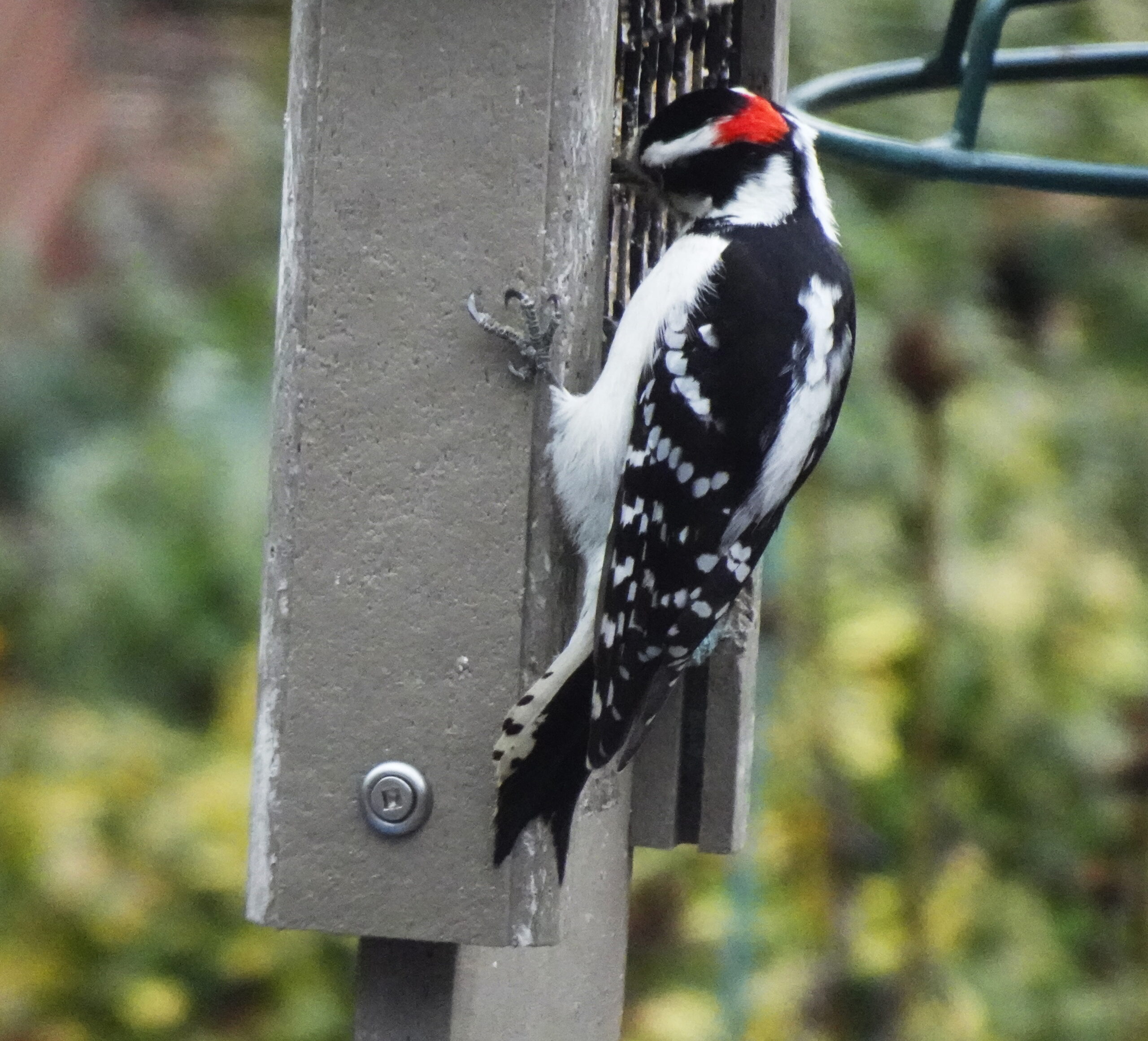 Additional Image 2