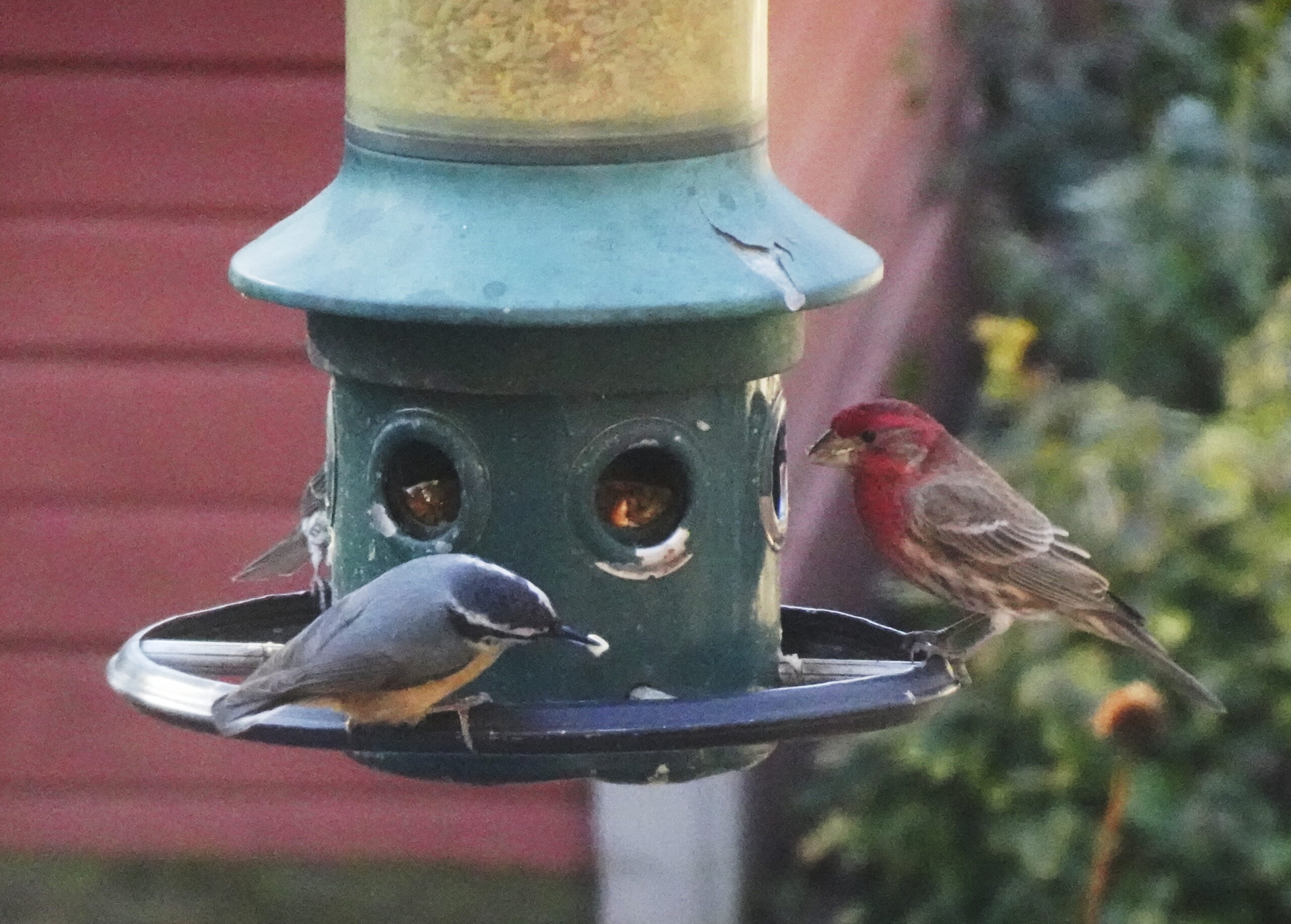 Additional Image 2