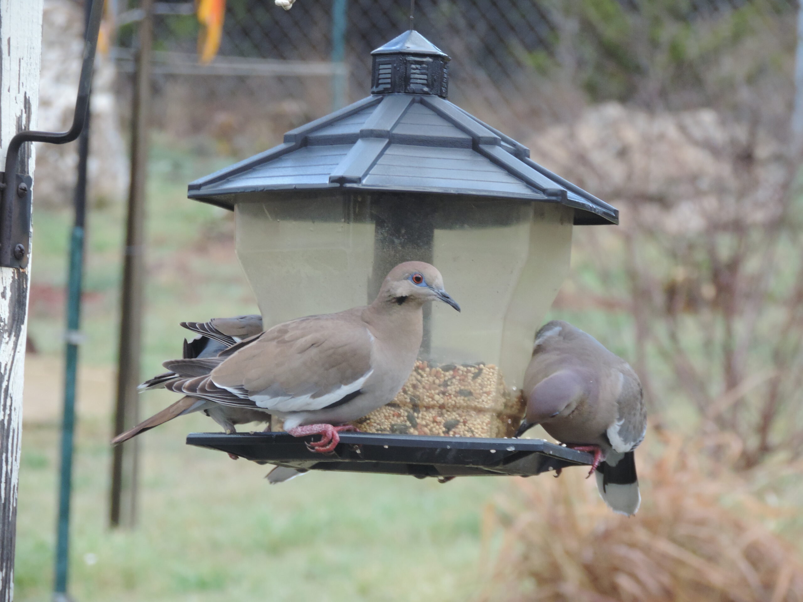 Additional Image 4