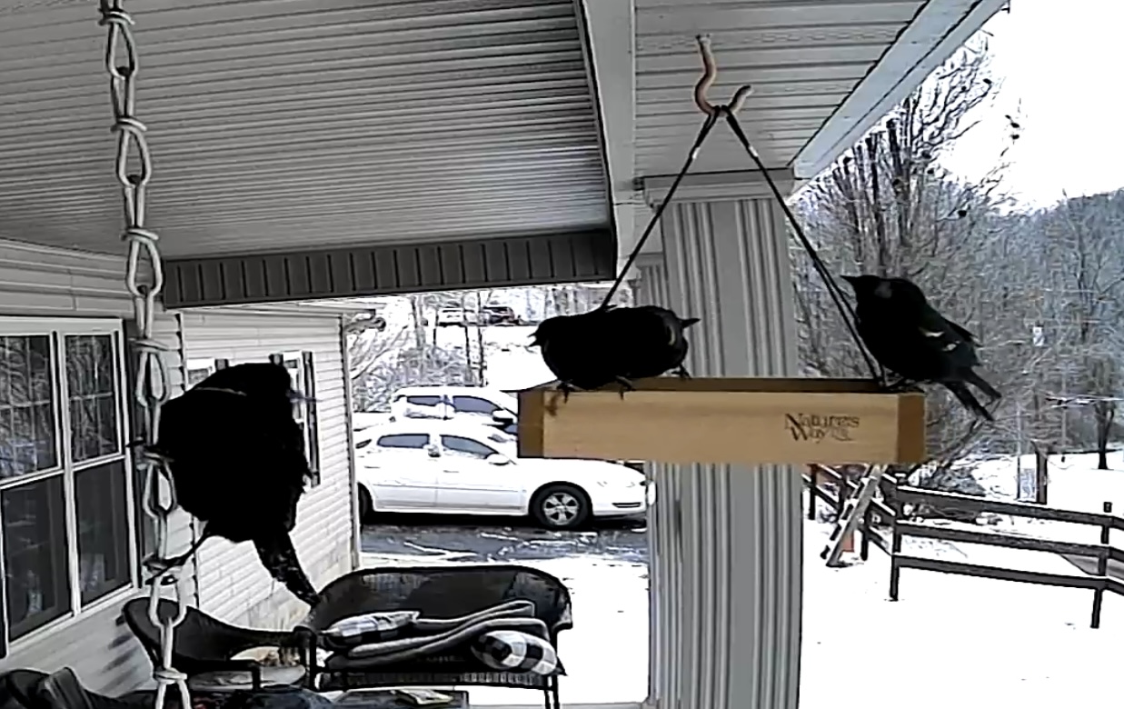 Additional Image 5