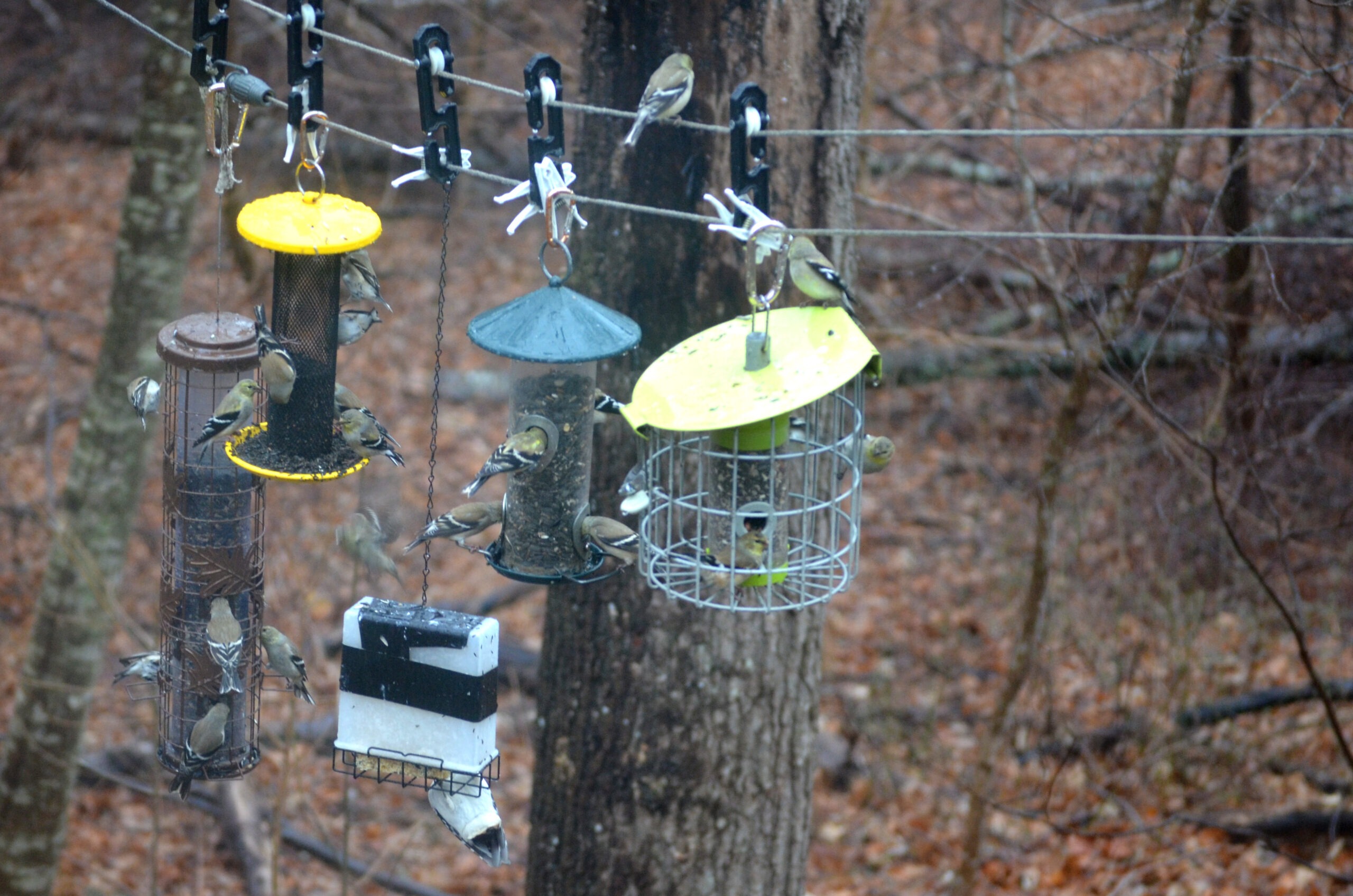 Additional Image 3