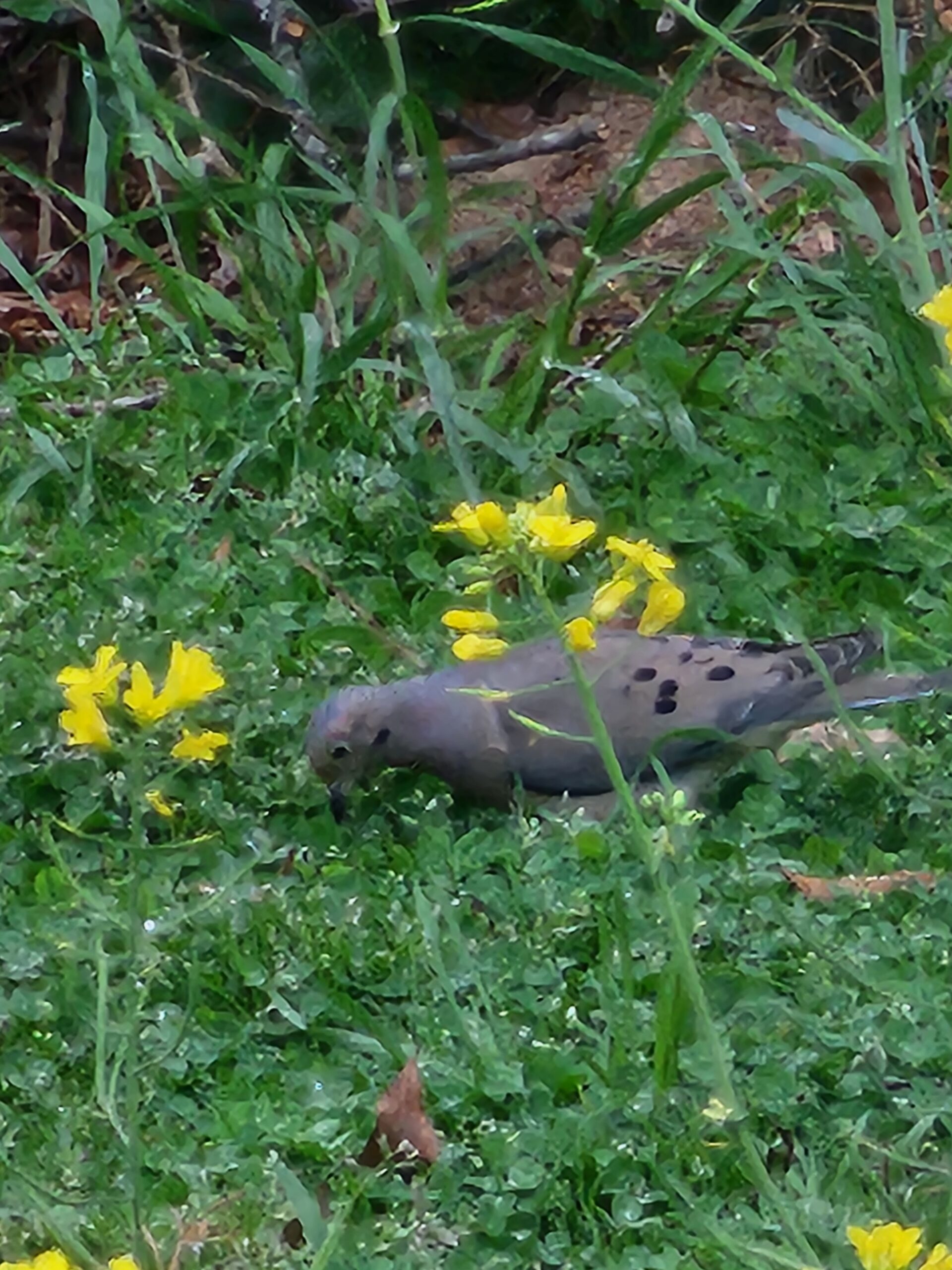 Additional Image 5