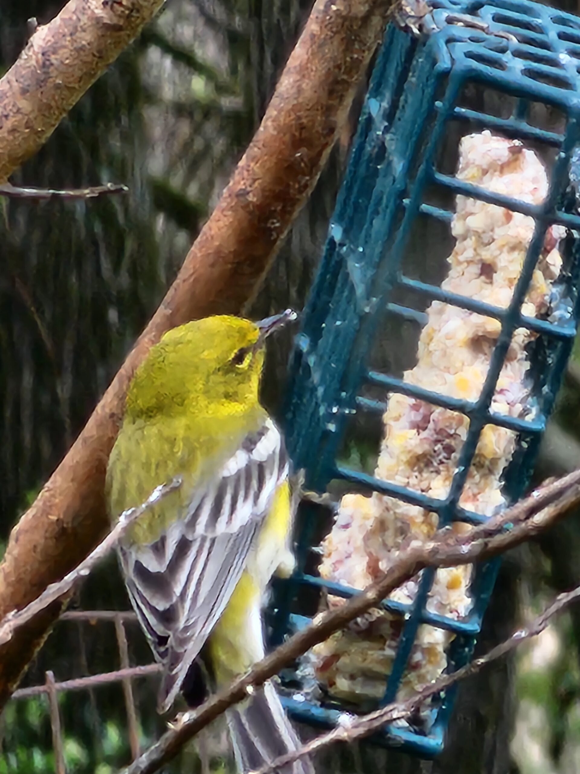 Additional Image 4