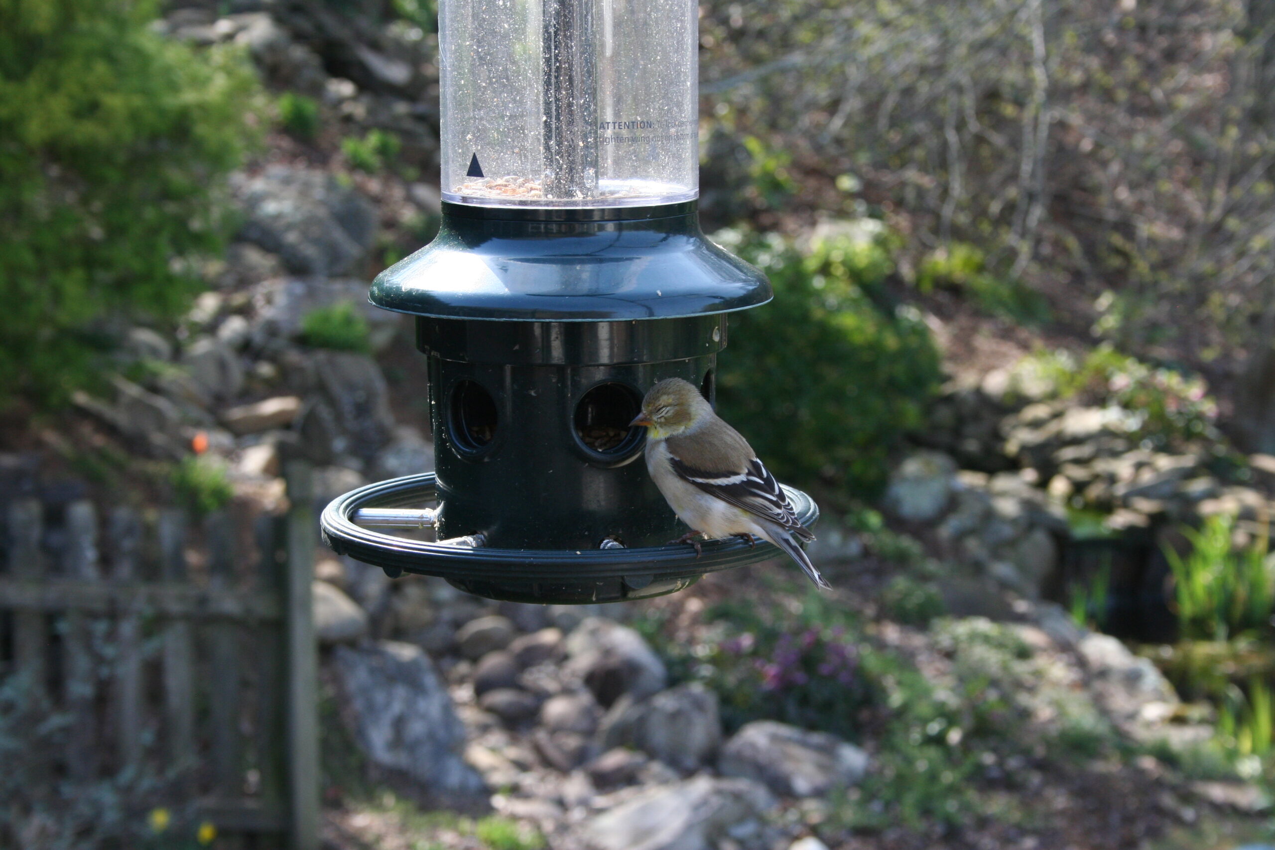 Additional Image 2