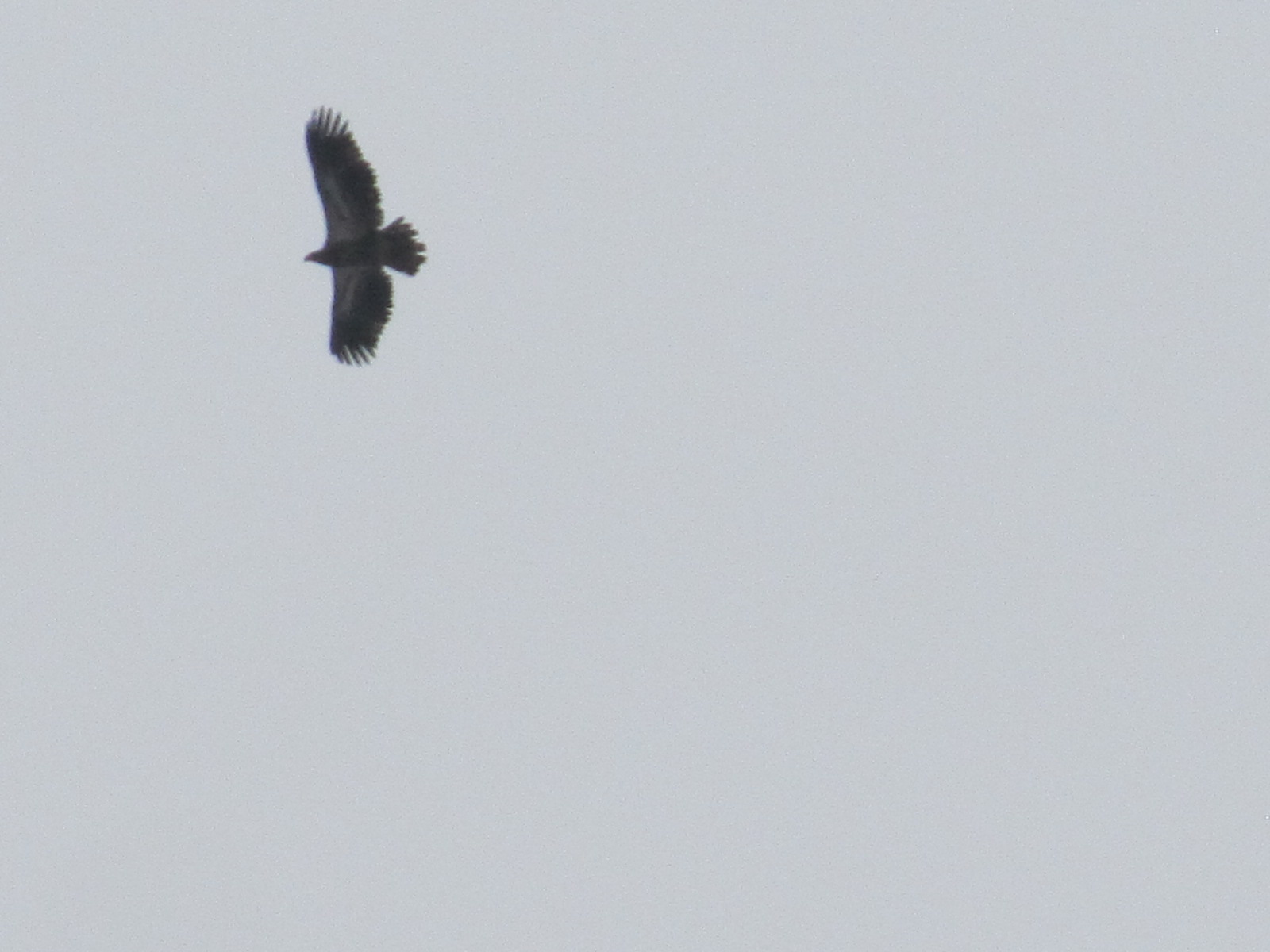 Additional Image 2