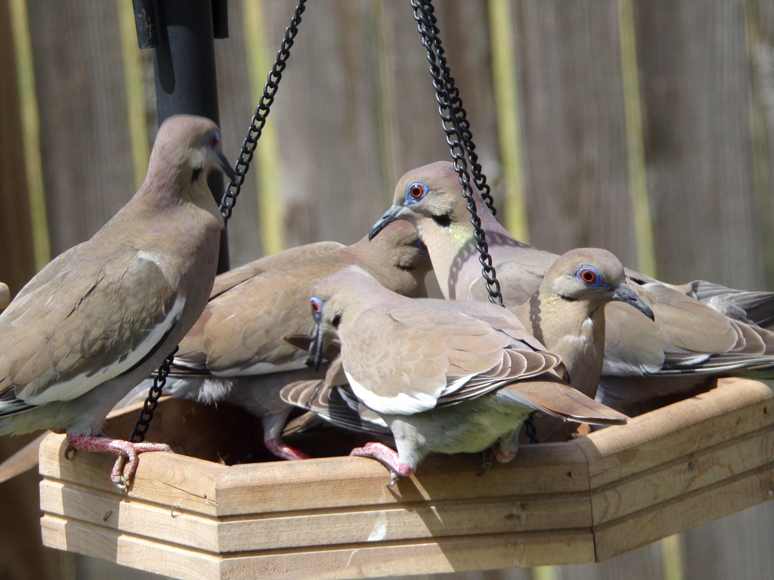 Additional Image 4