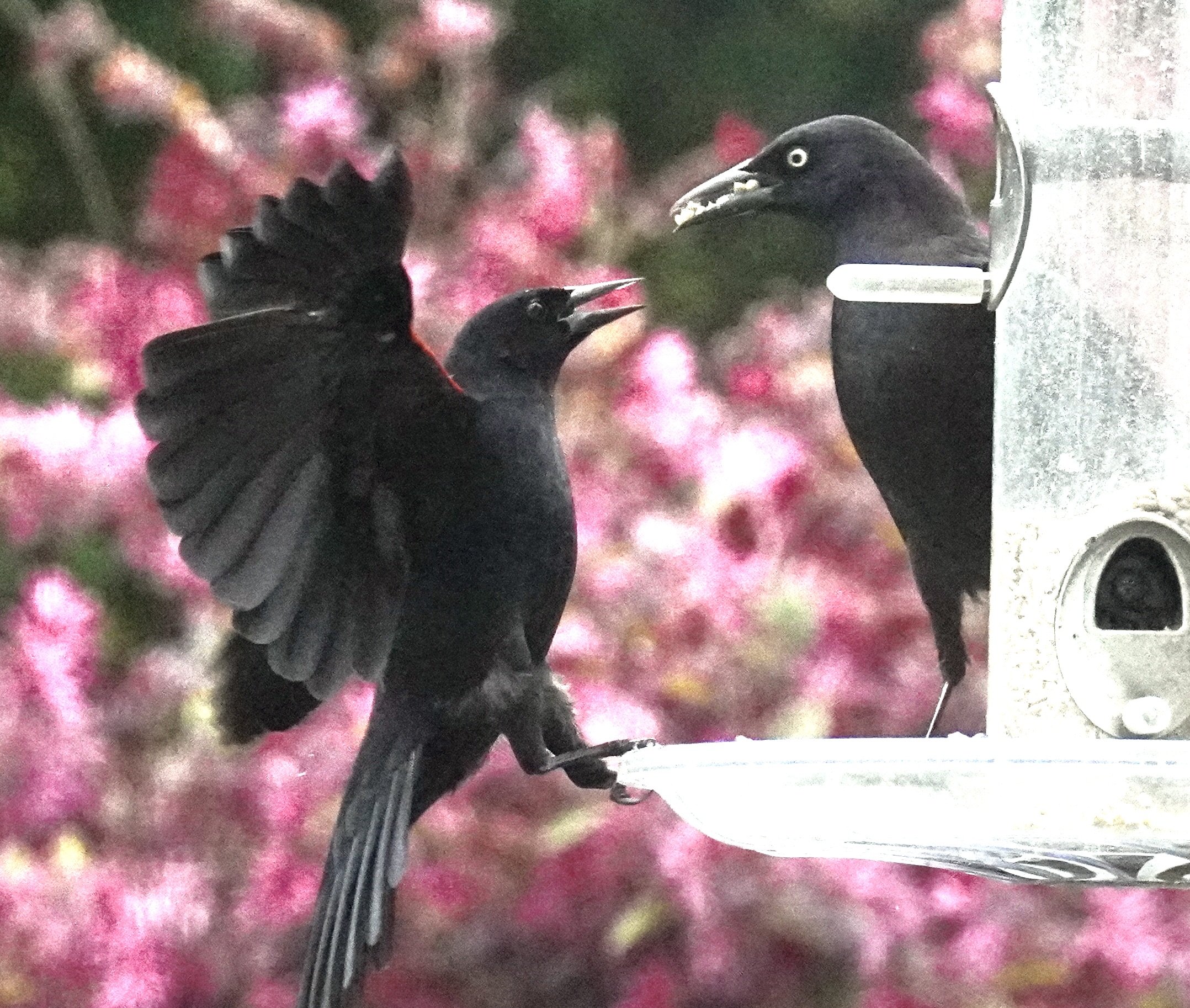 Additional Image 2
