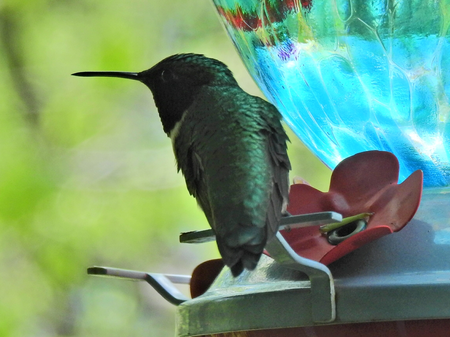 Featured Image