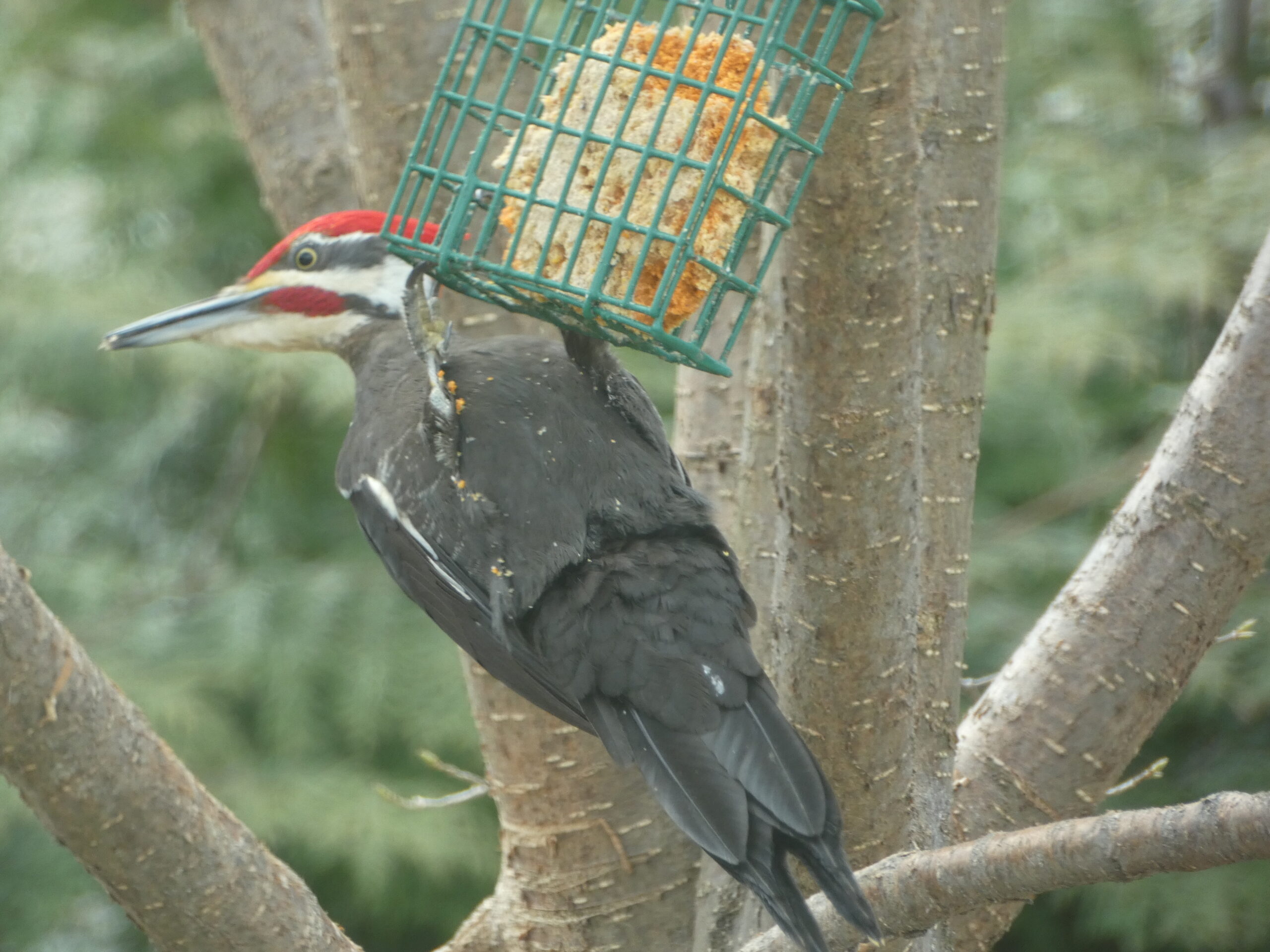 Additional Image 2