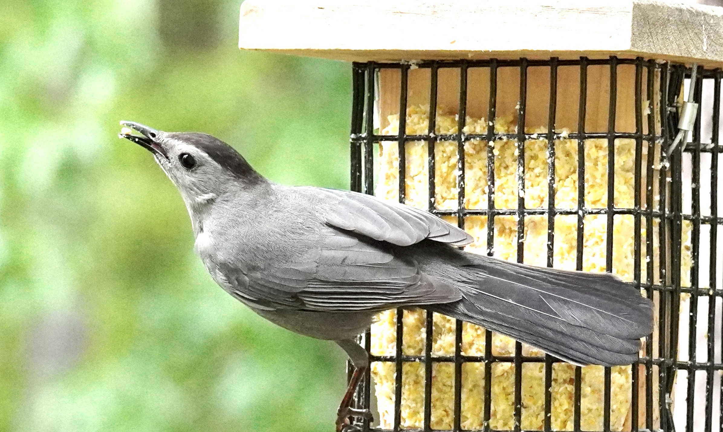 Additional Image 5