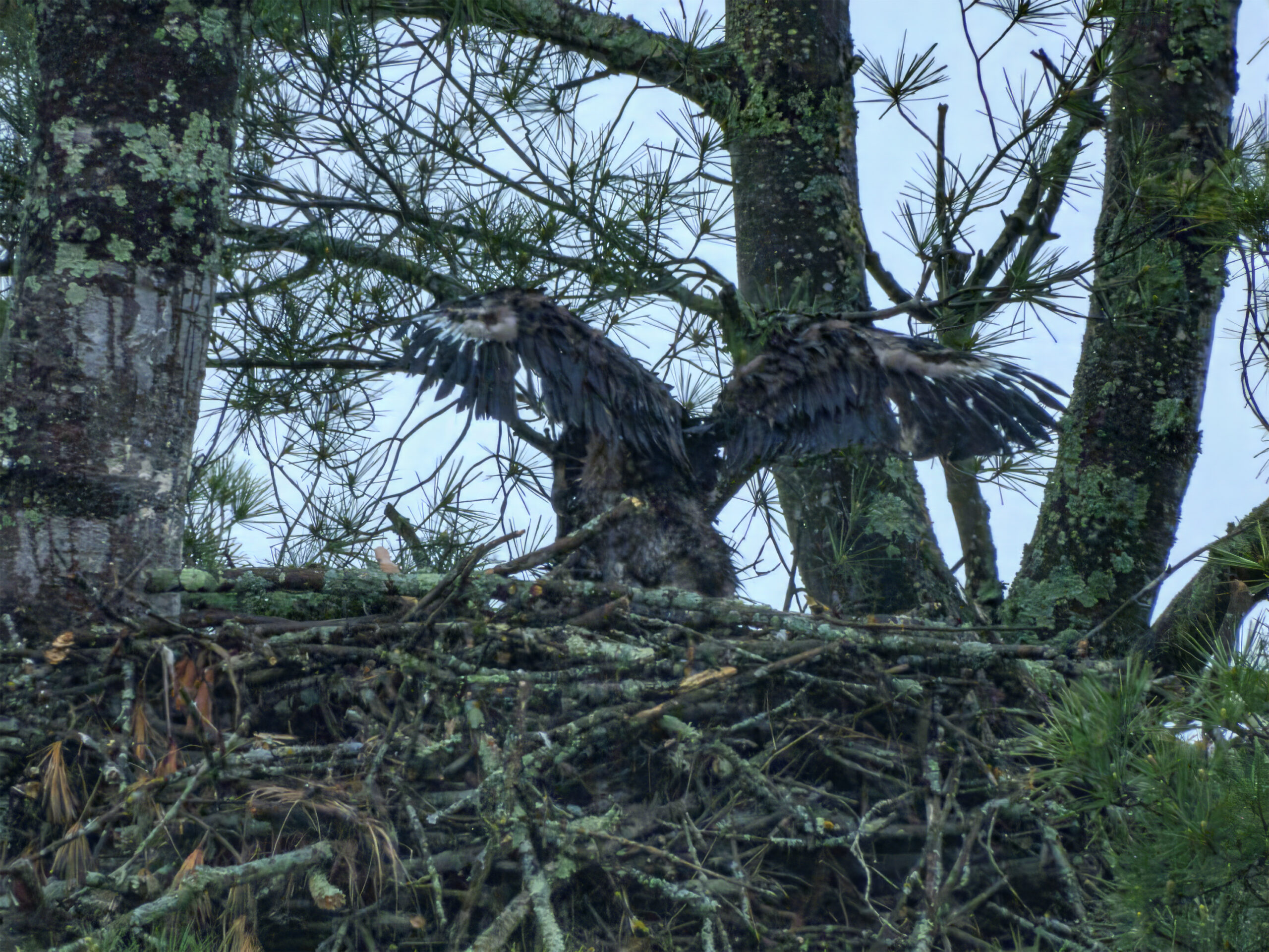 Additional Image 5