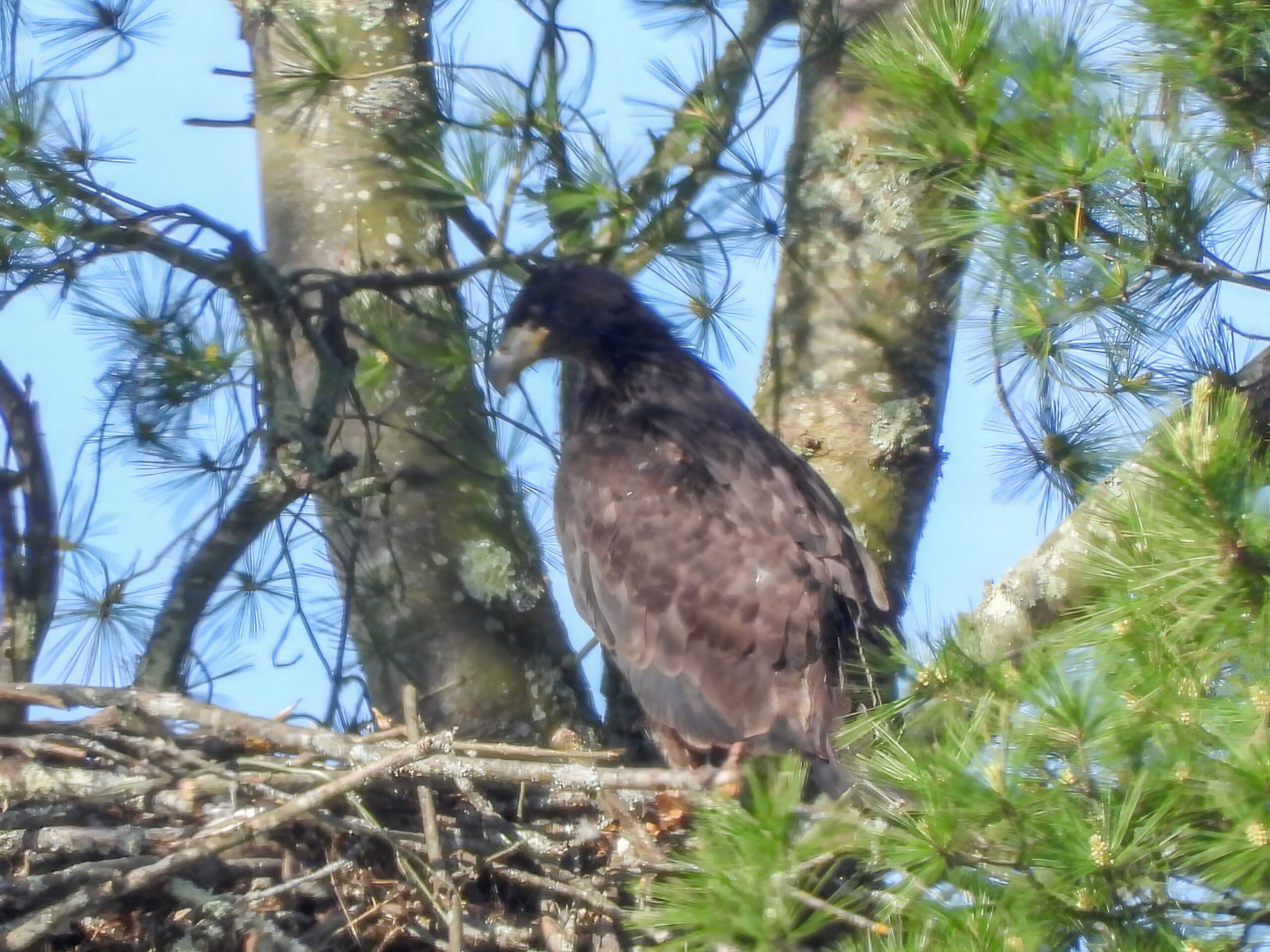Additional Image 3