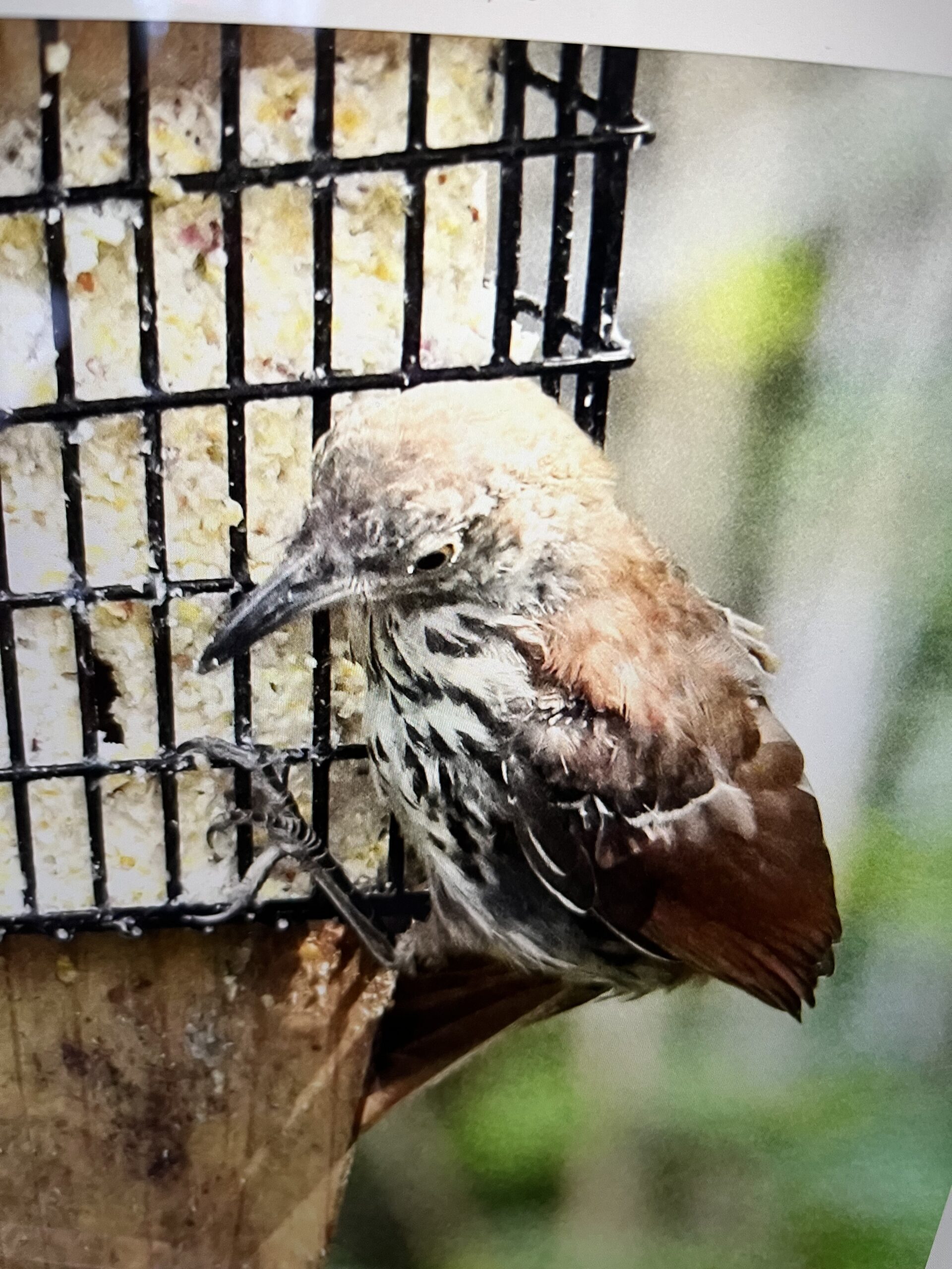 Additional Image 2