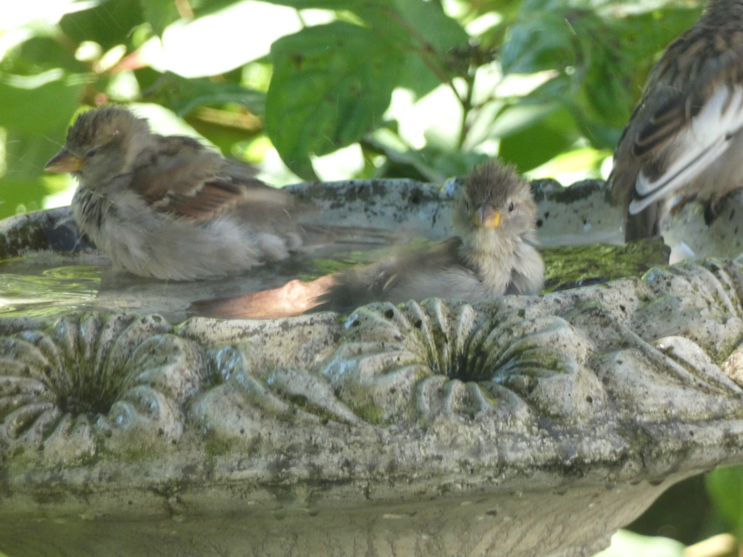 Additional Image 2
