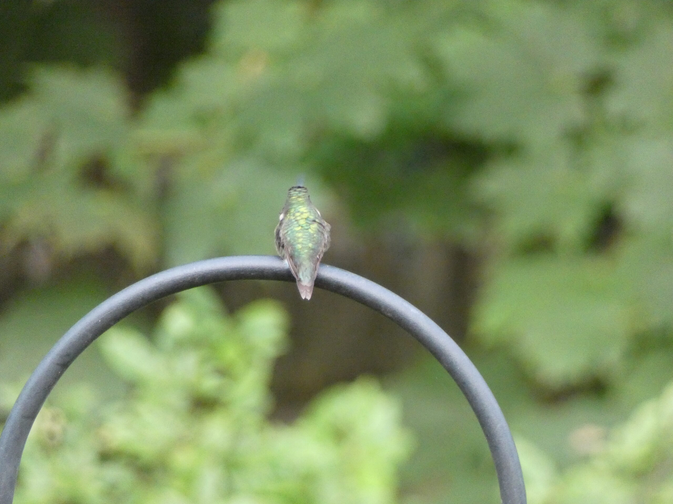 Additional Image 2