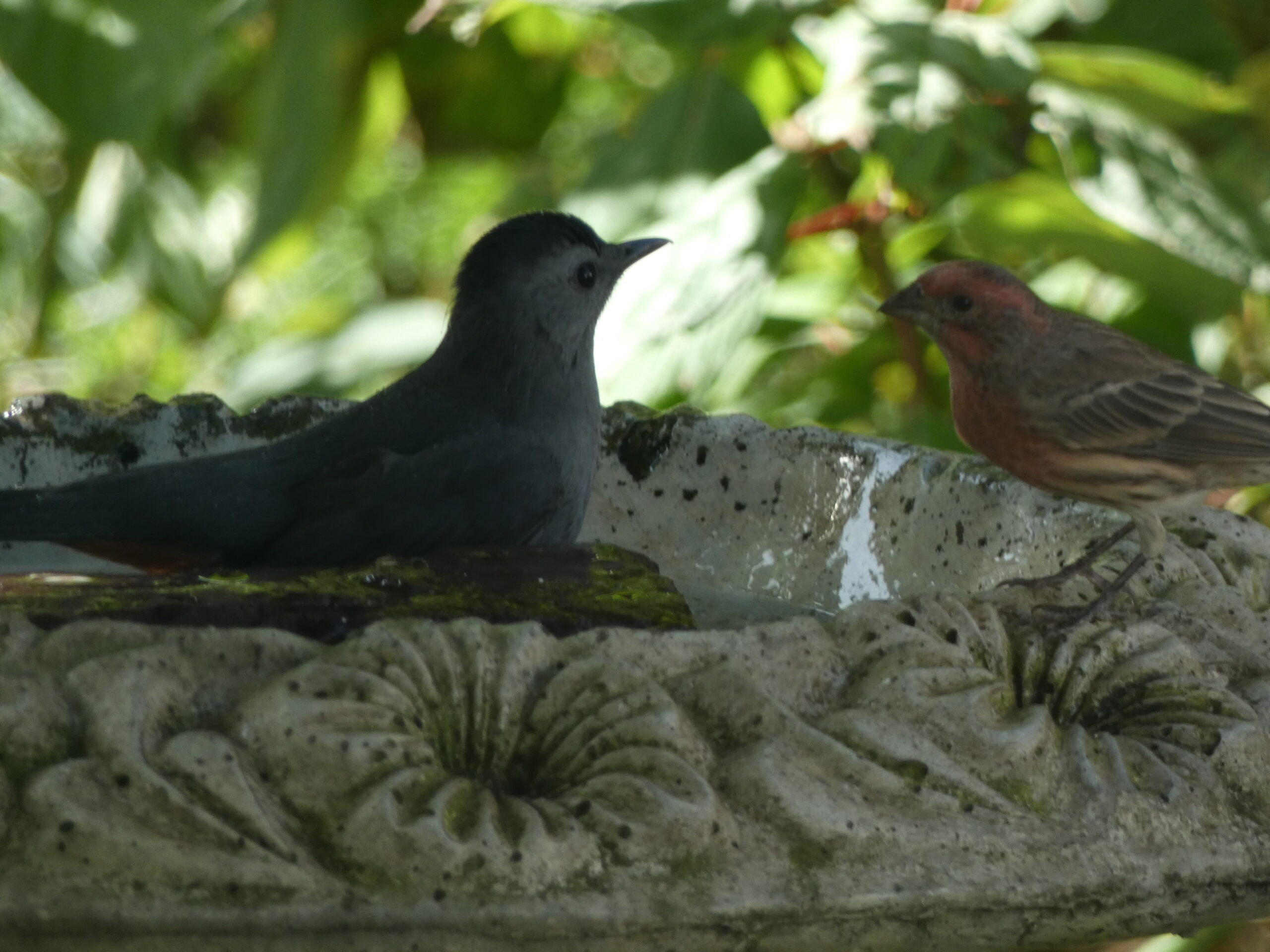 Additional Image 2