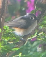 Additional Image 2