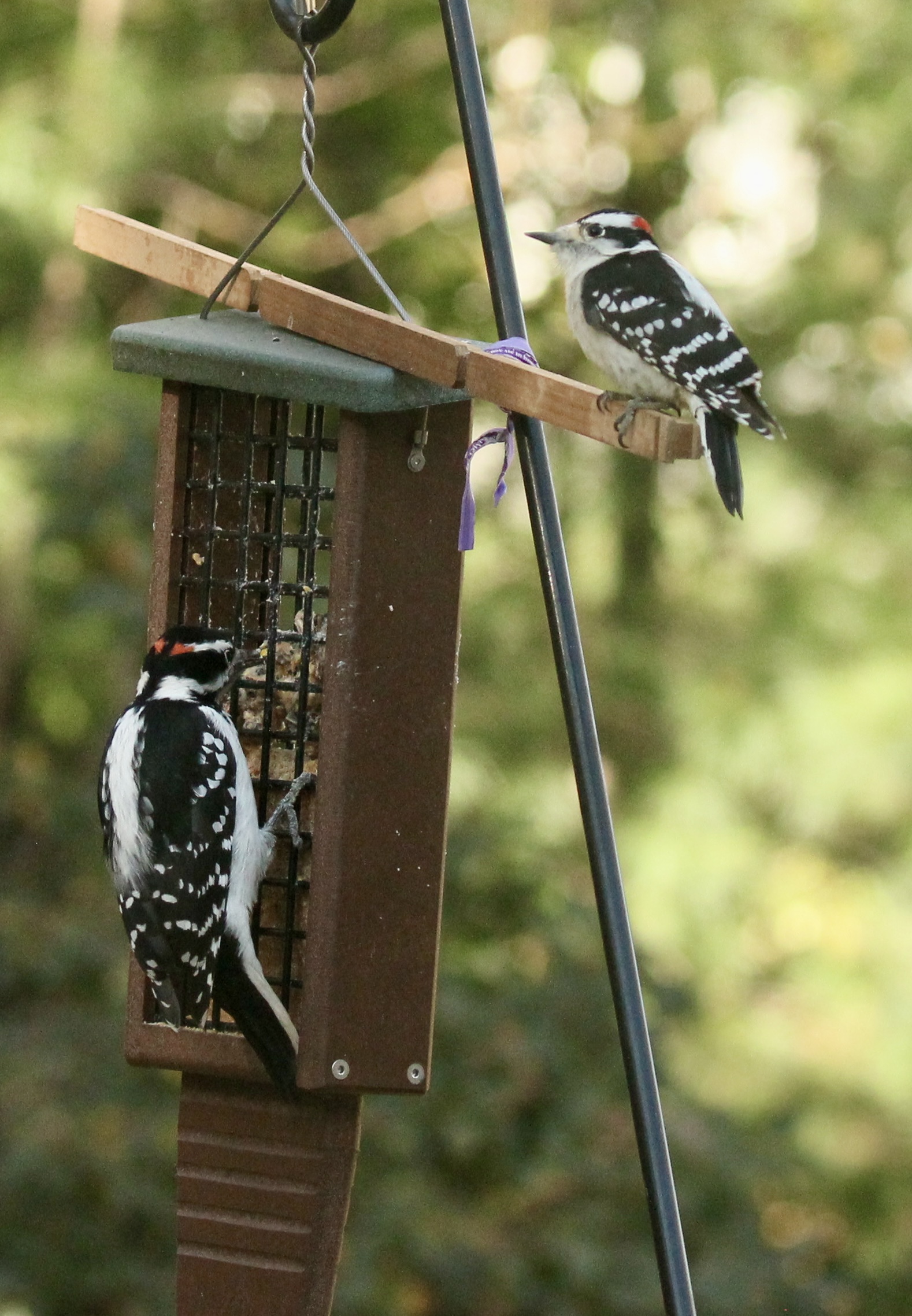 Additional Image 3