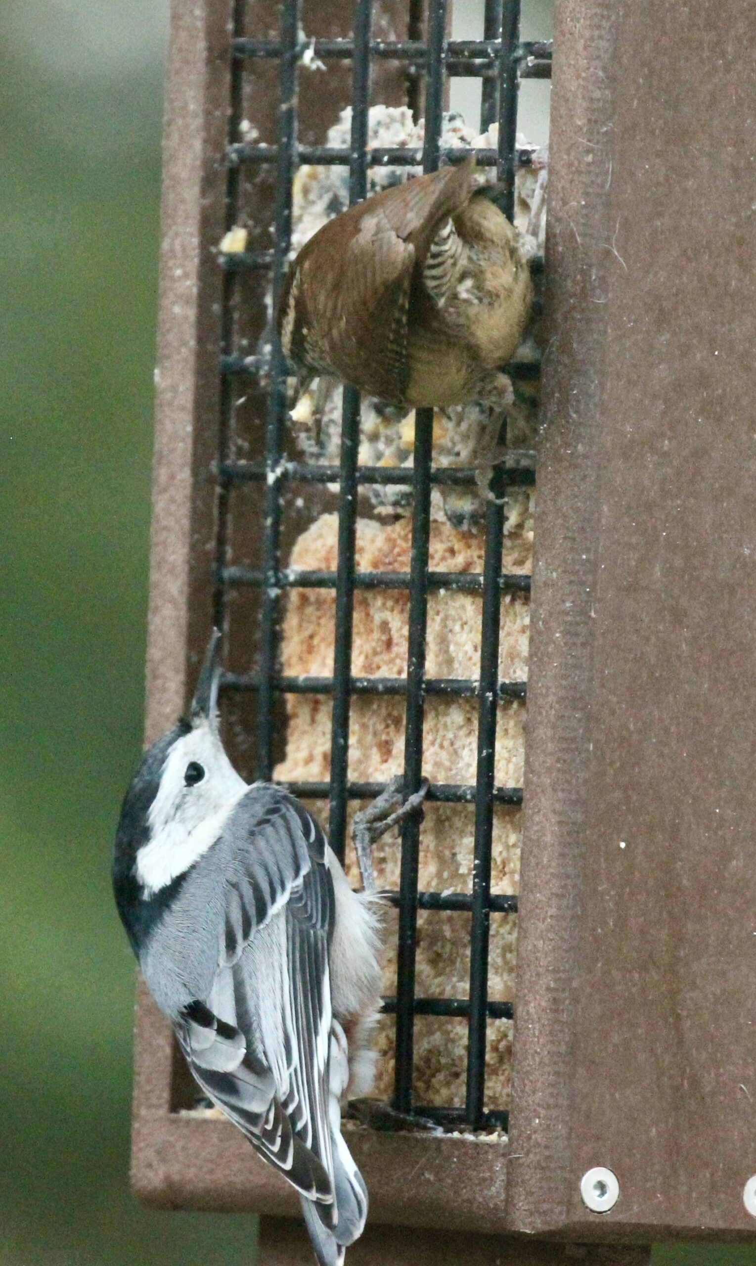 Additional Image 2