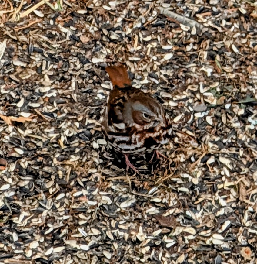 Additional Image 3