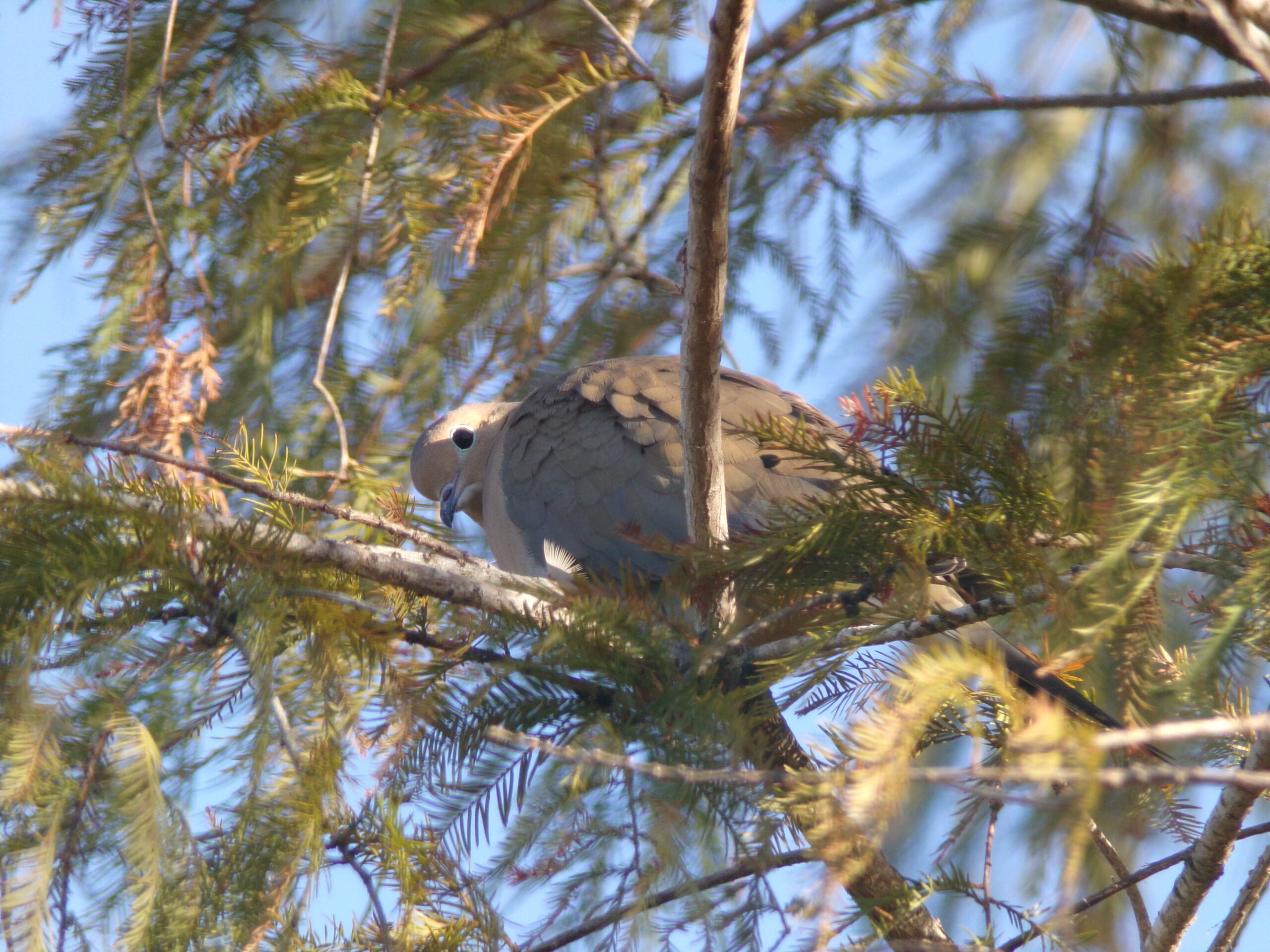 Additional Image 3