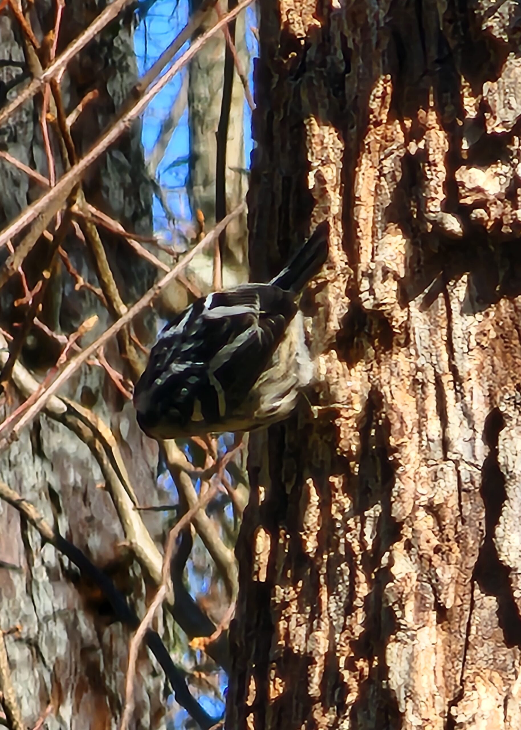 Additional Image 2