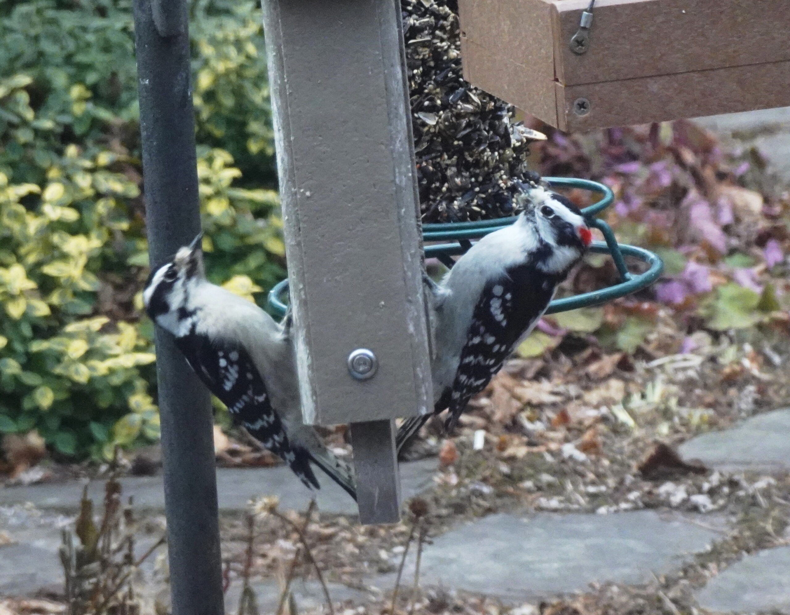 Additional Image 2