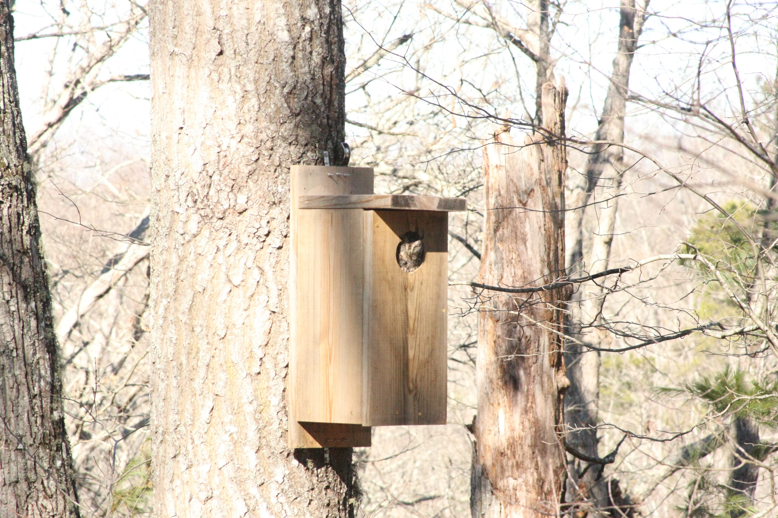 Additional Image 3