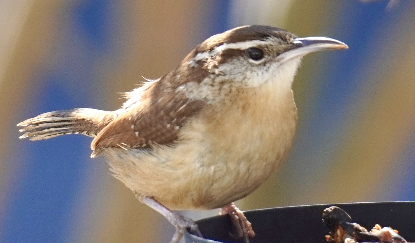 Featured Image