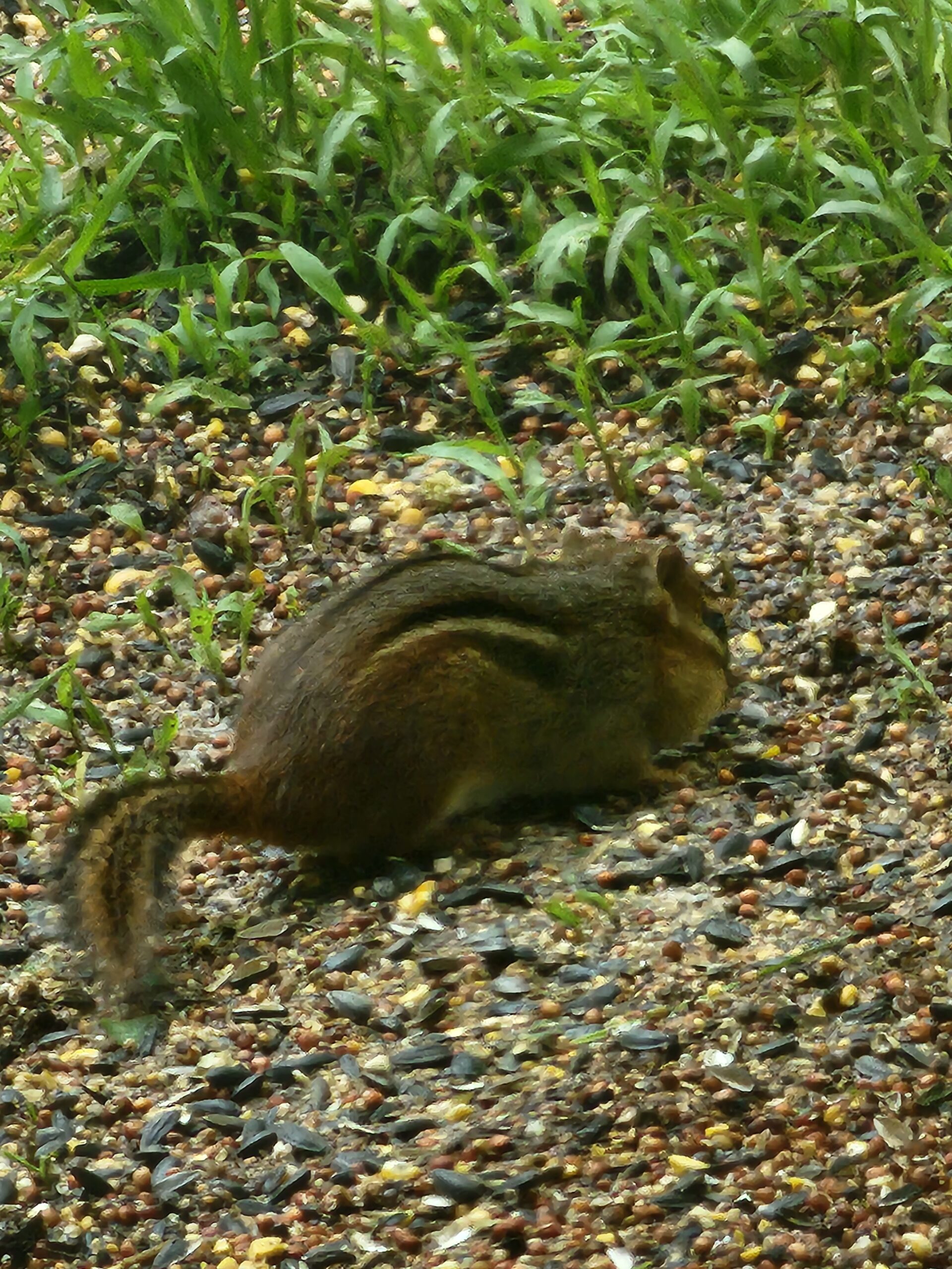 Additional Image 3