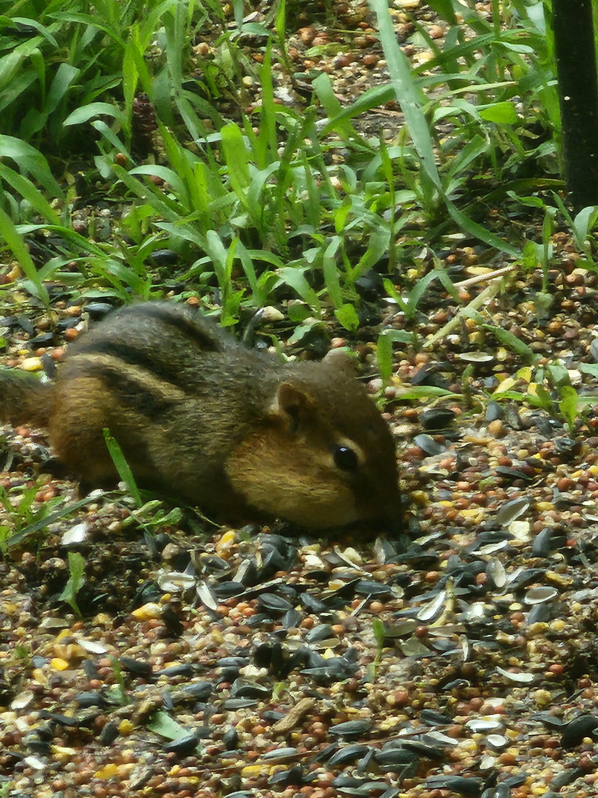 Additional Image 2