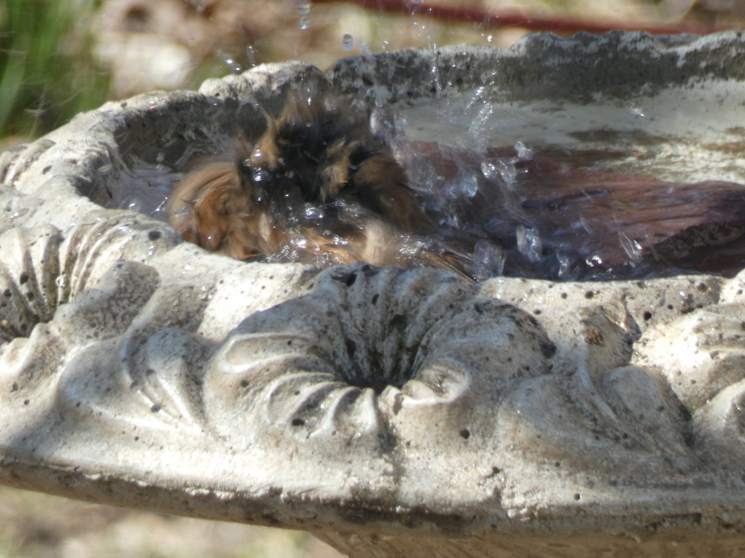 Additional Image 2