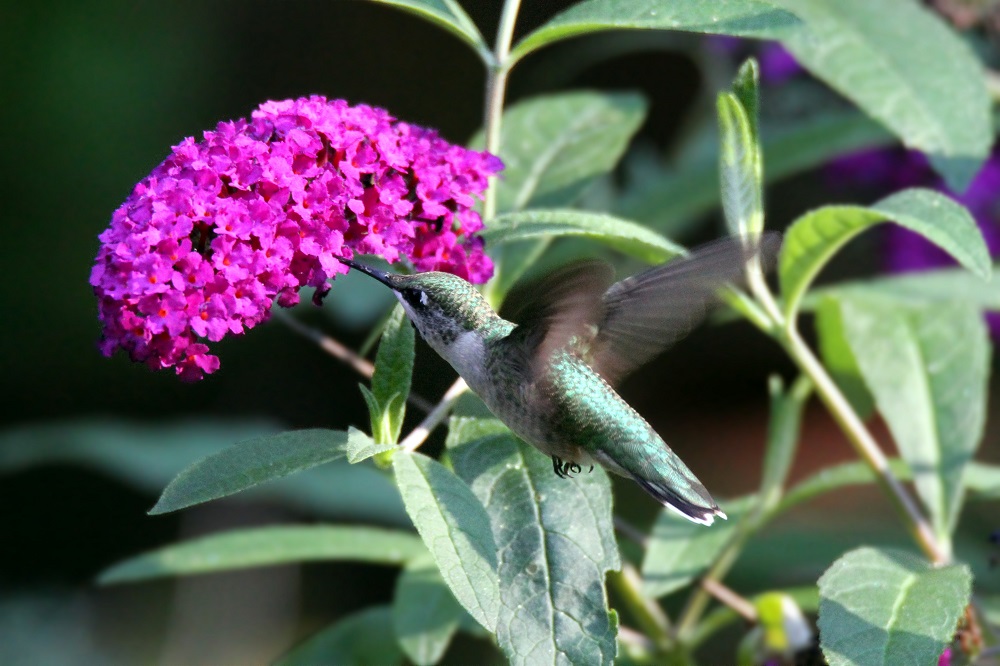 Featured Image