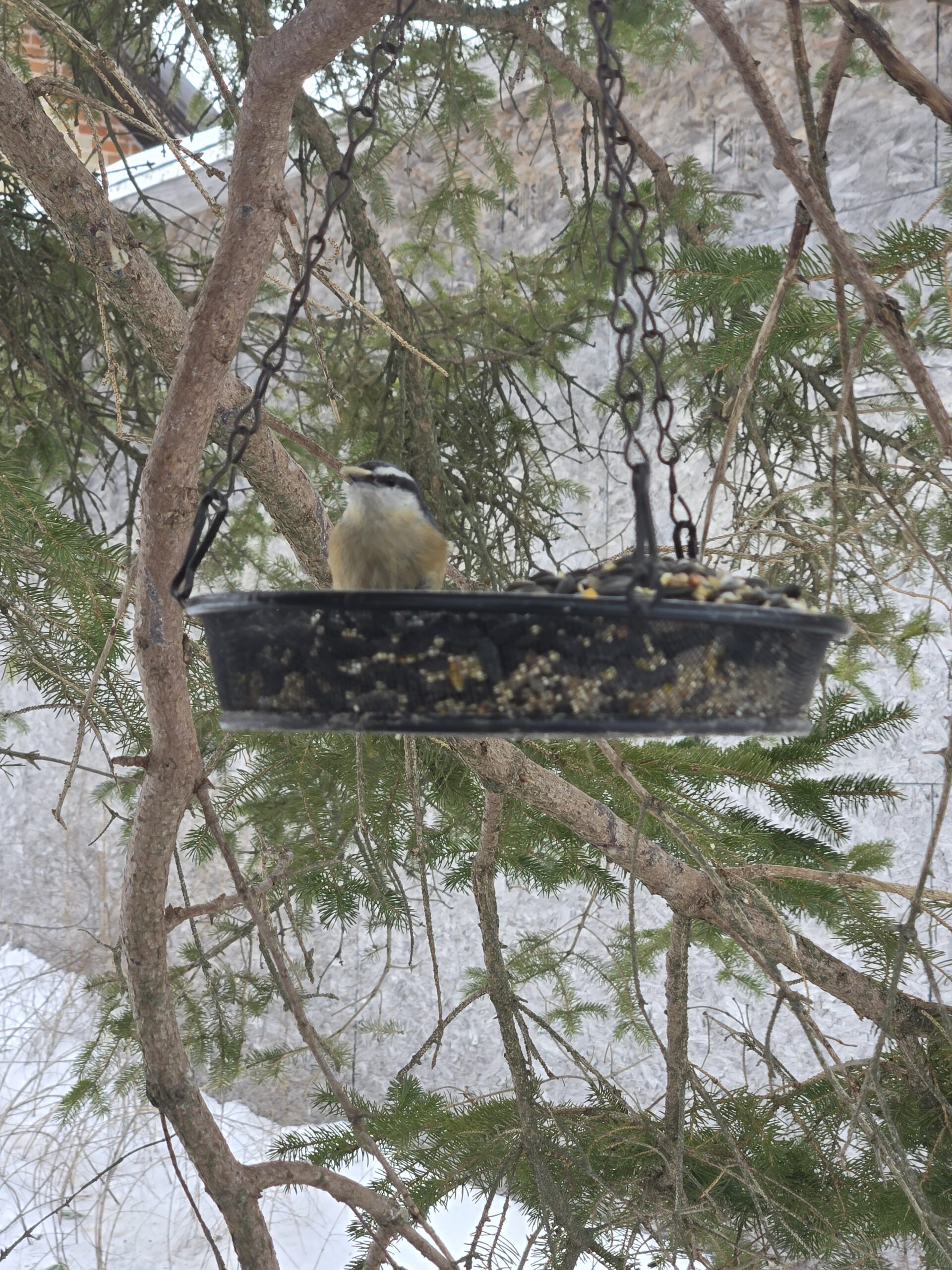 Additional Image 2