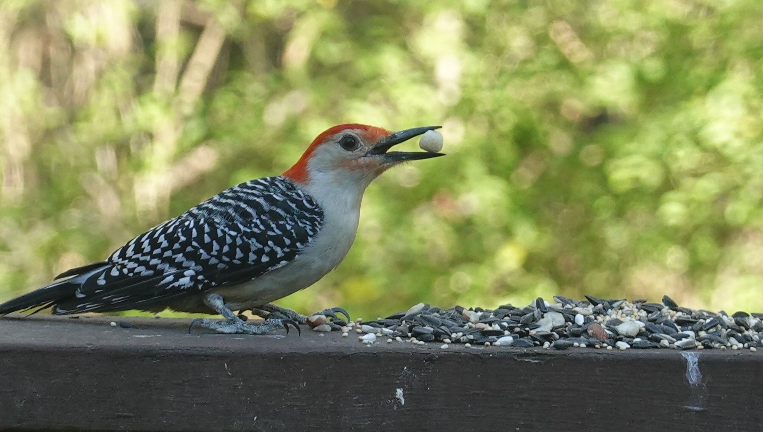 Featured Image