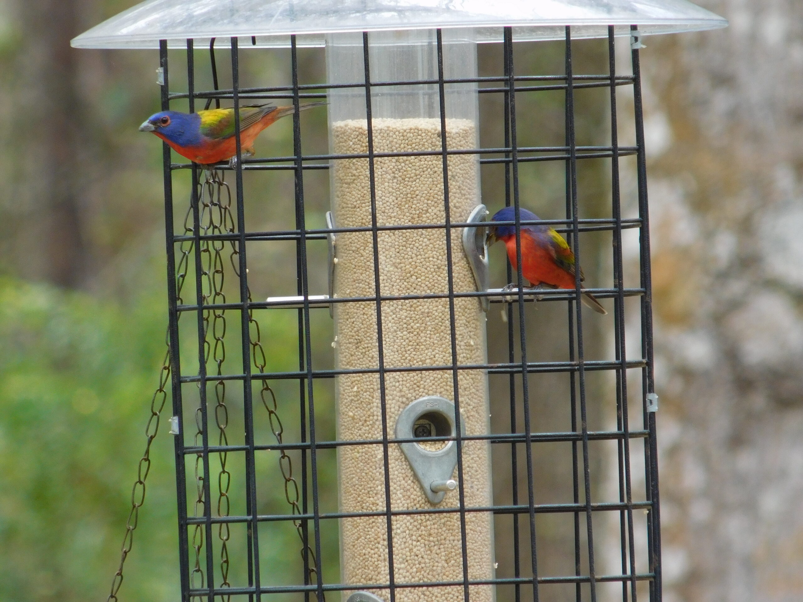 Additional Image 2