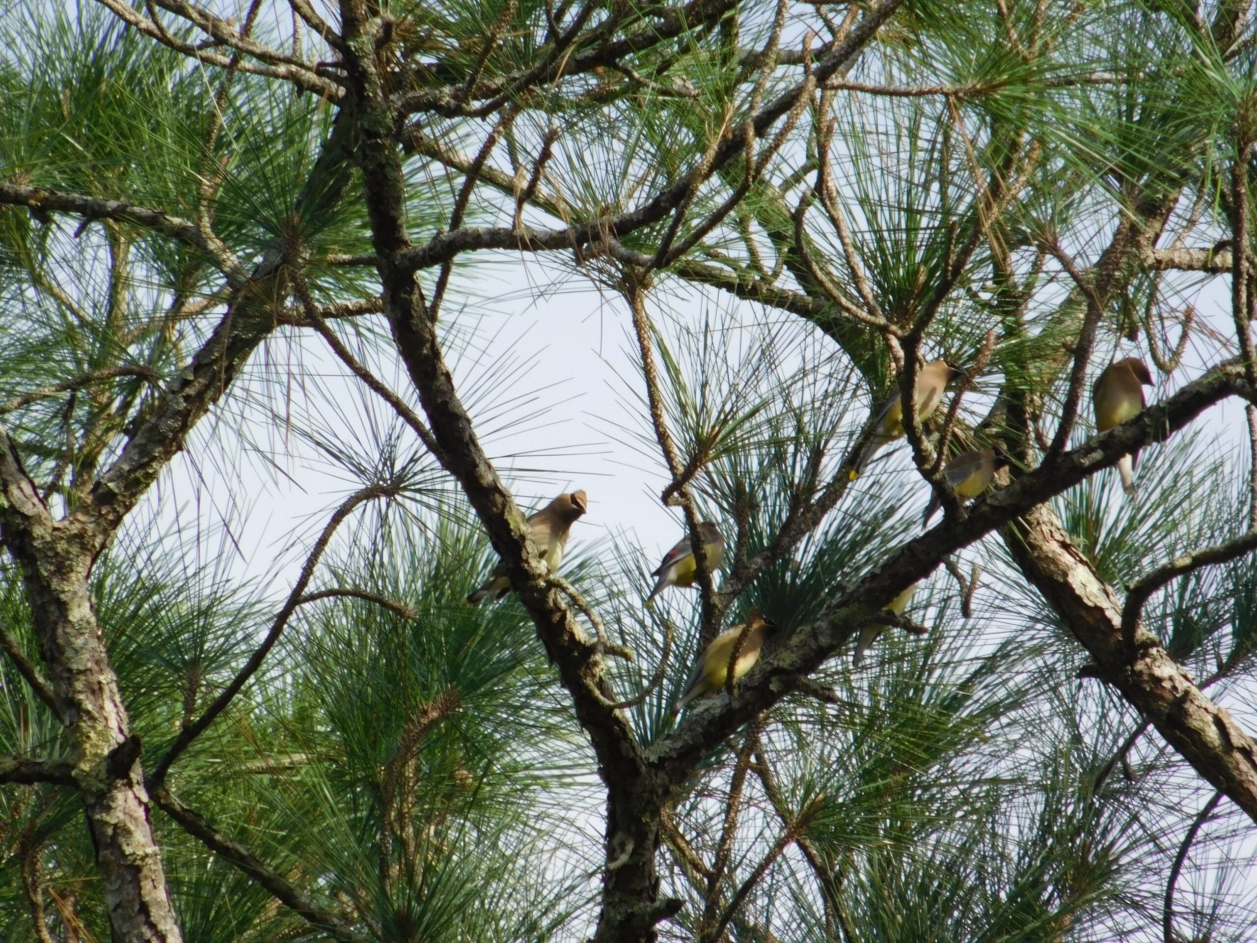 Additional Image 4