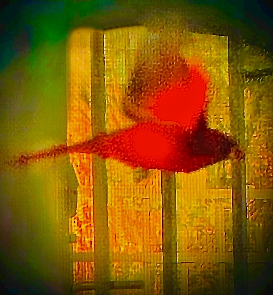 Featured Image